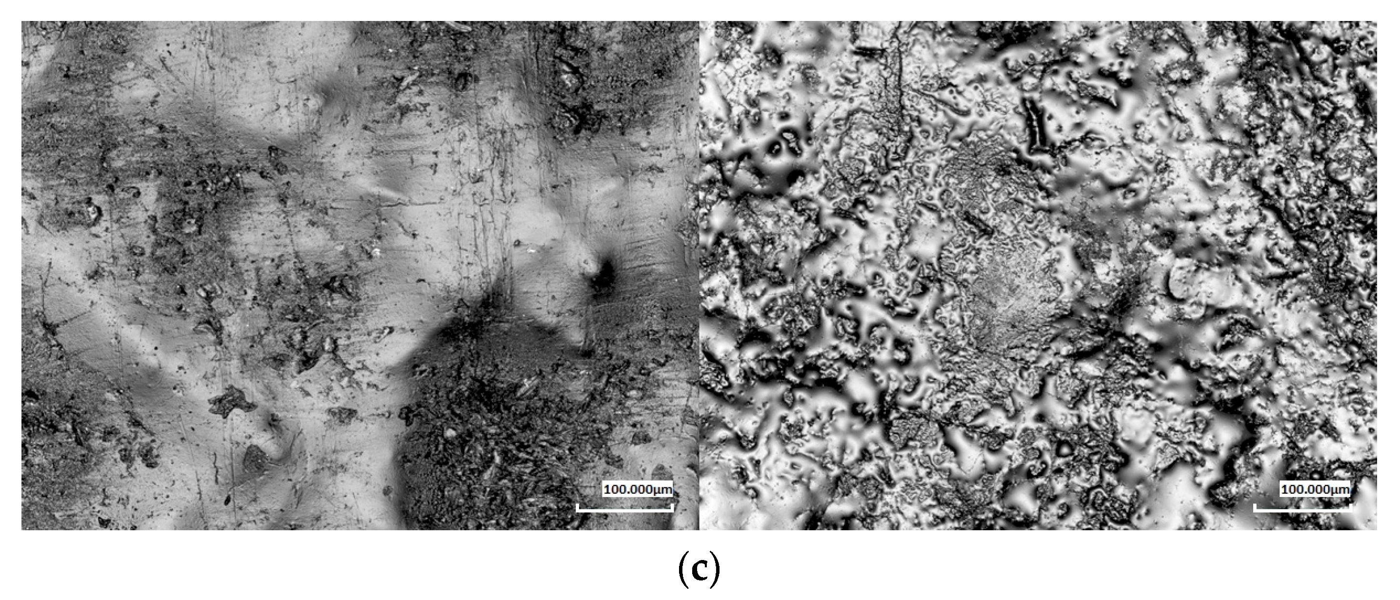Polymers 17 00883 g005b