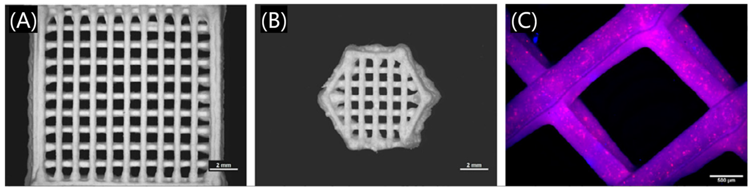 Polymers 17 00886 g011