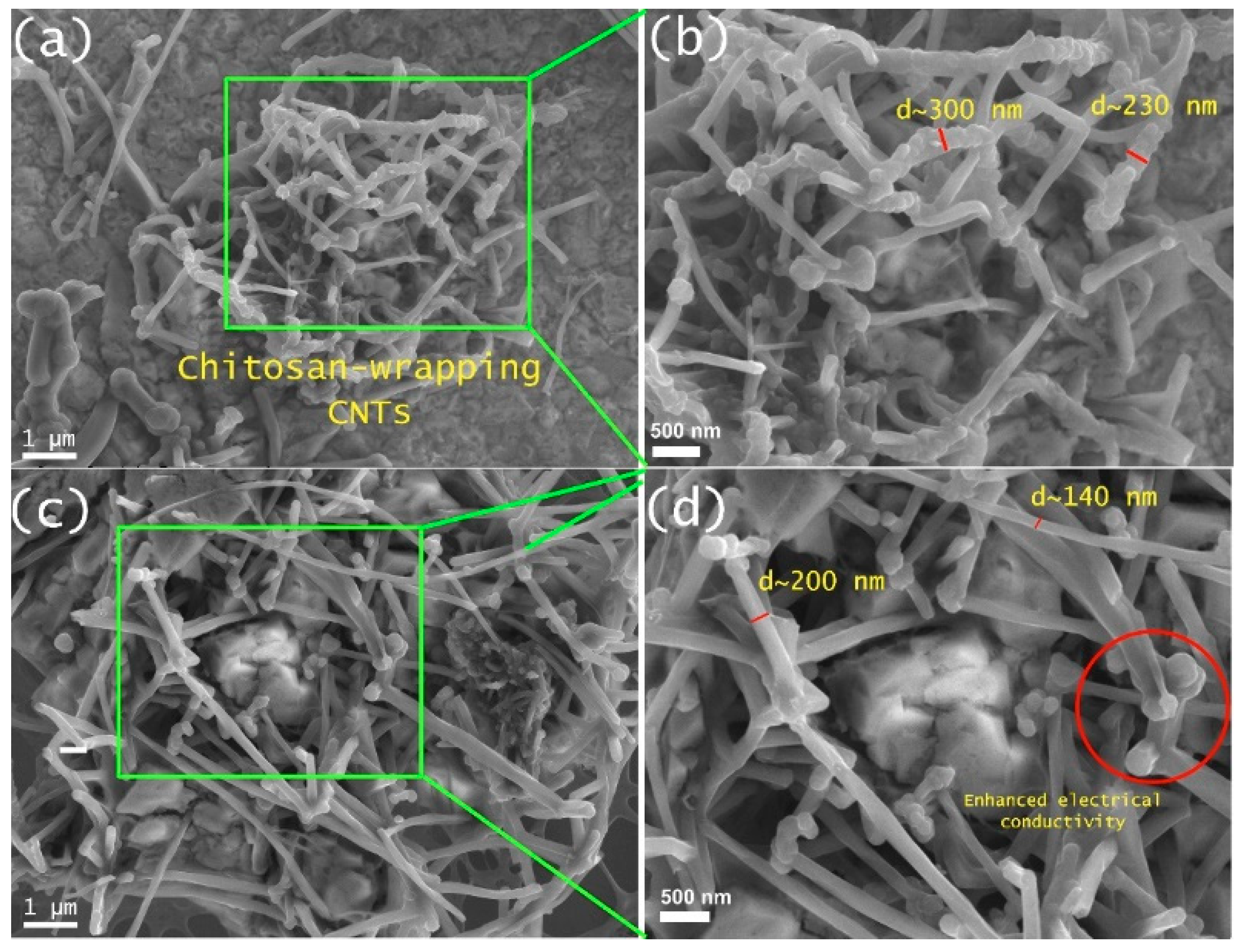Polymers 17 00889 g006