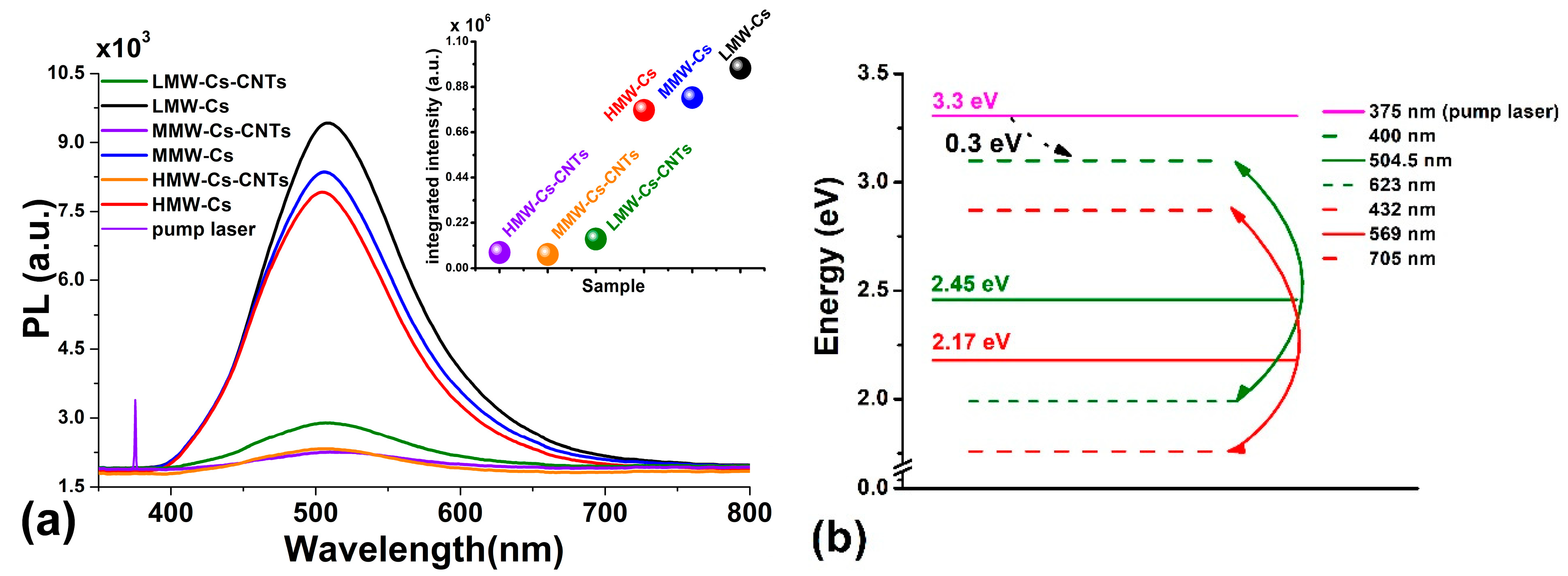 Polymers 17 00889 g007