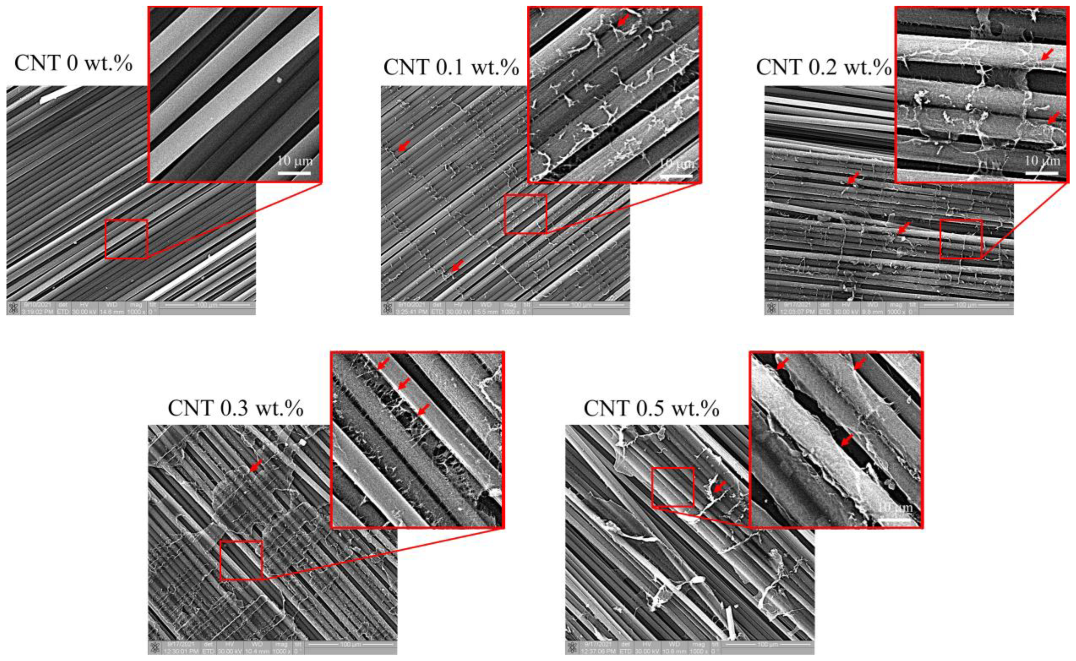 Polymers 17 00891 g001