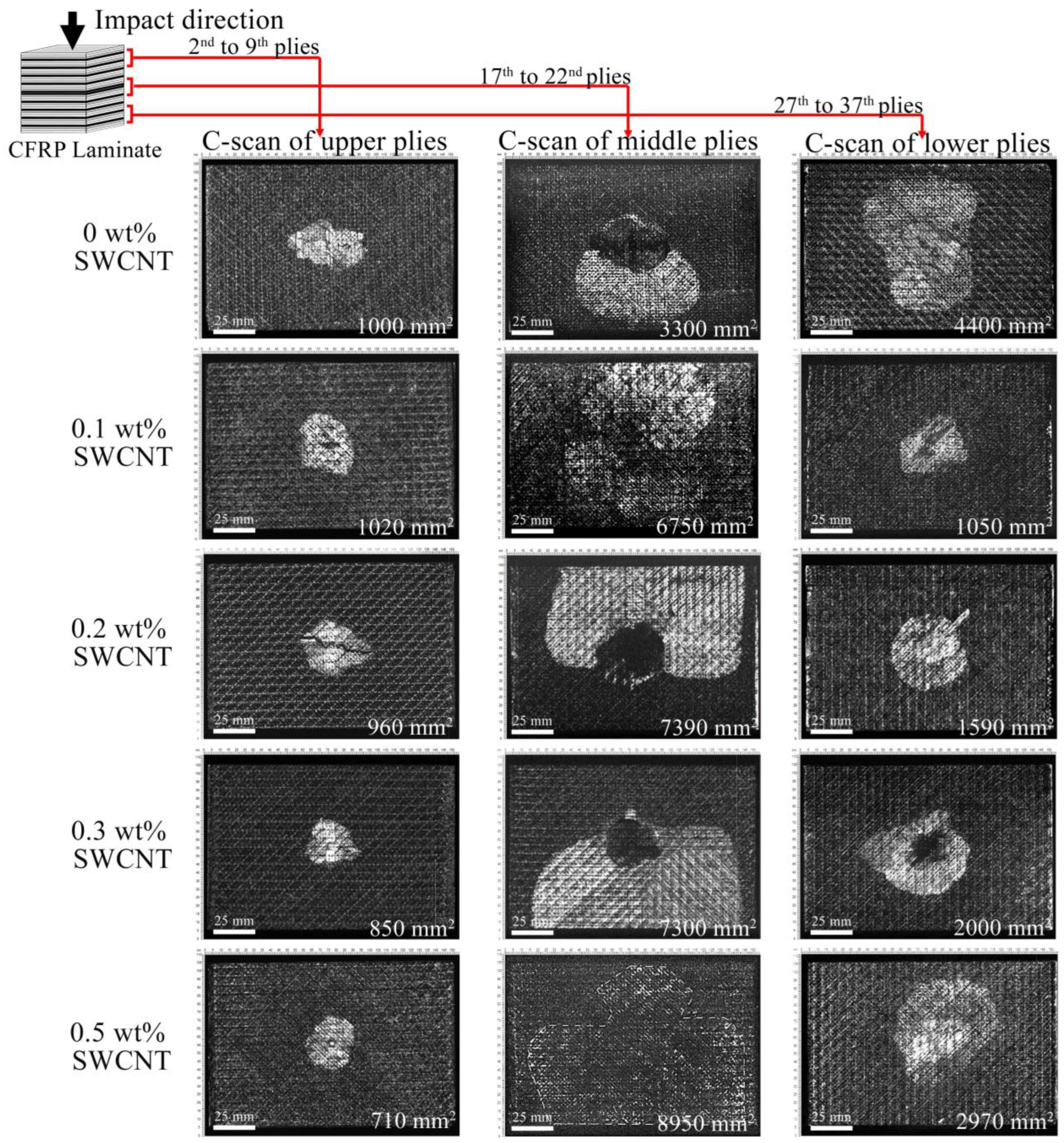 Polymers 17 00891 g003