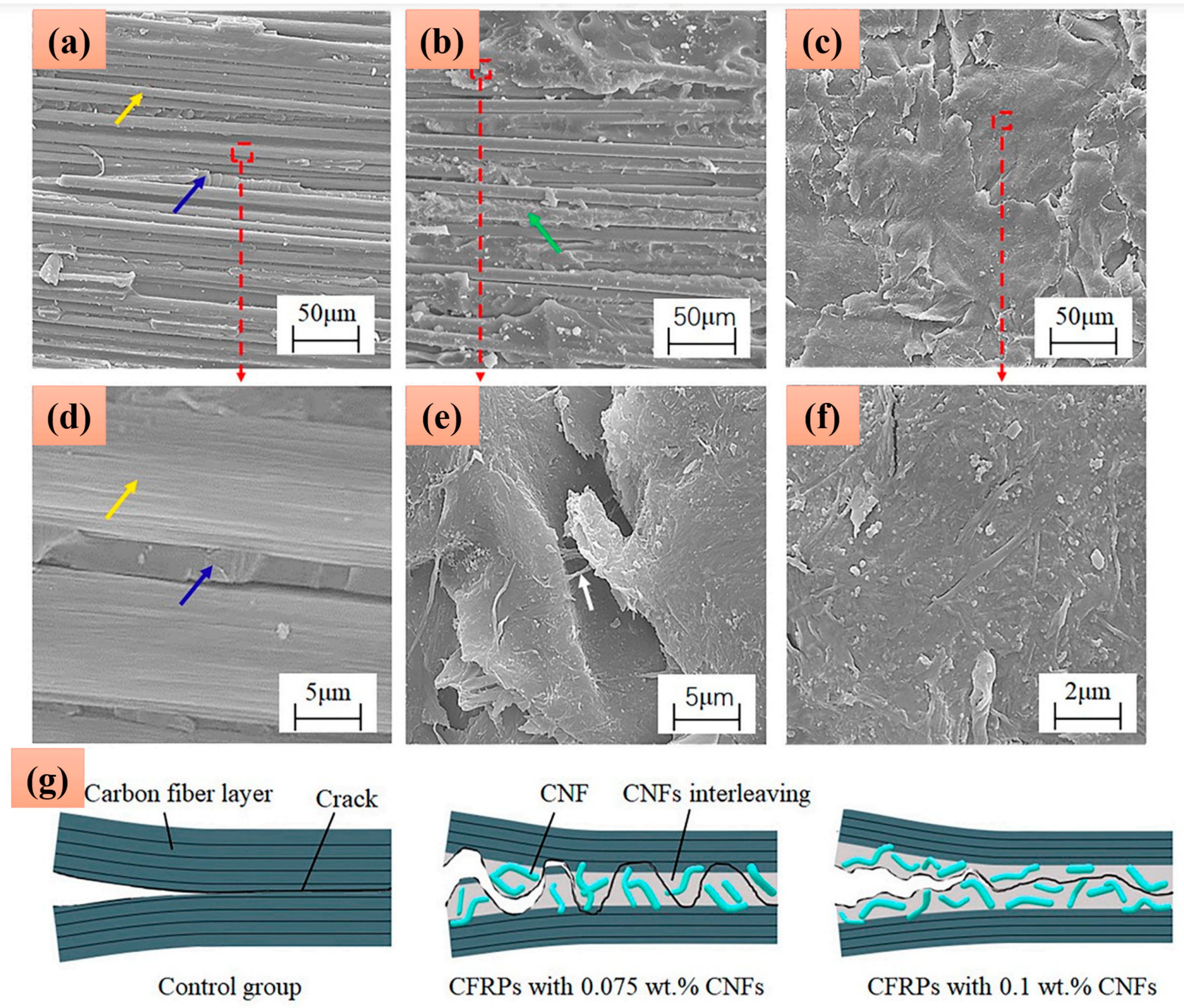 Polymers 17 00893 g008