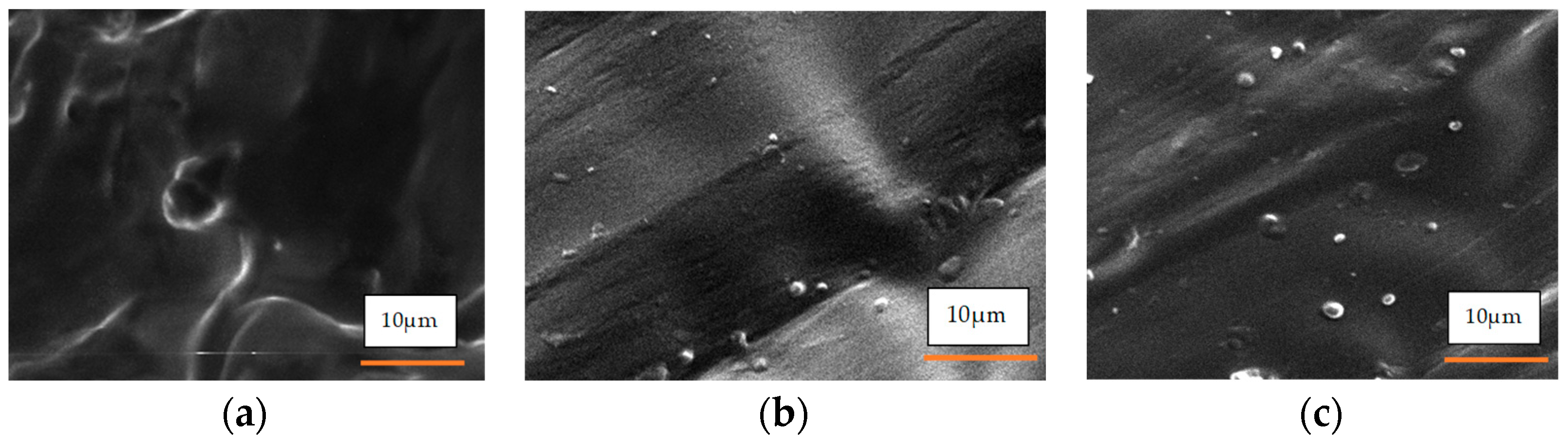 Polymers 17 00899 g004