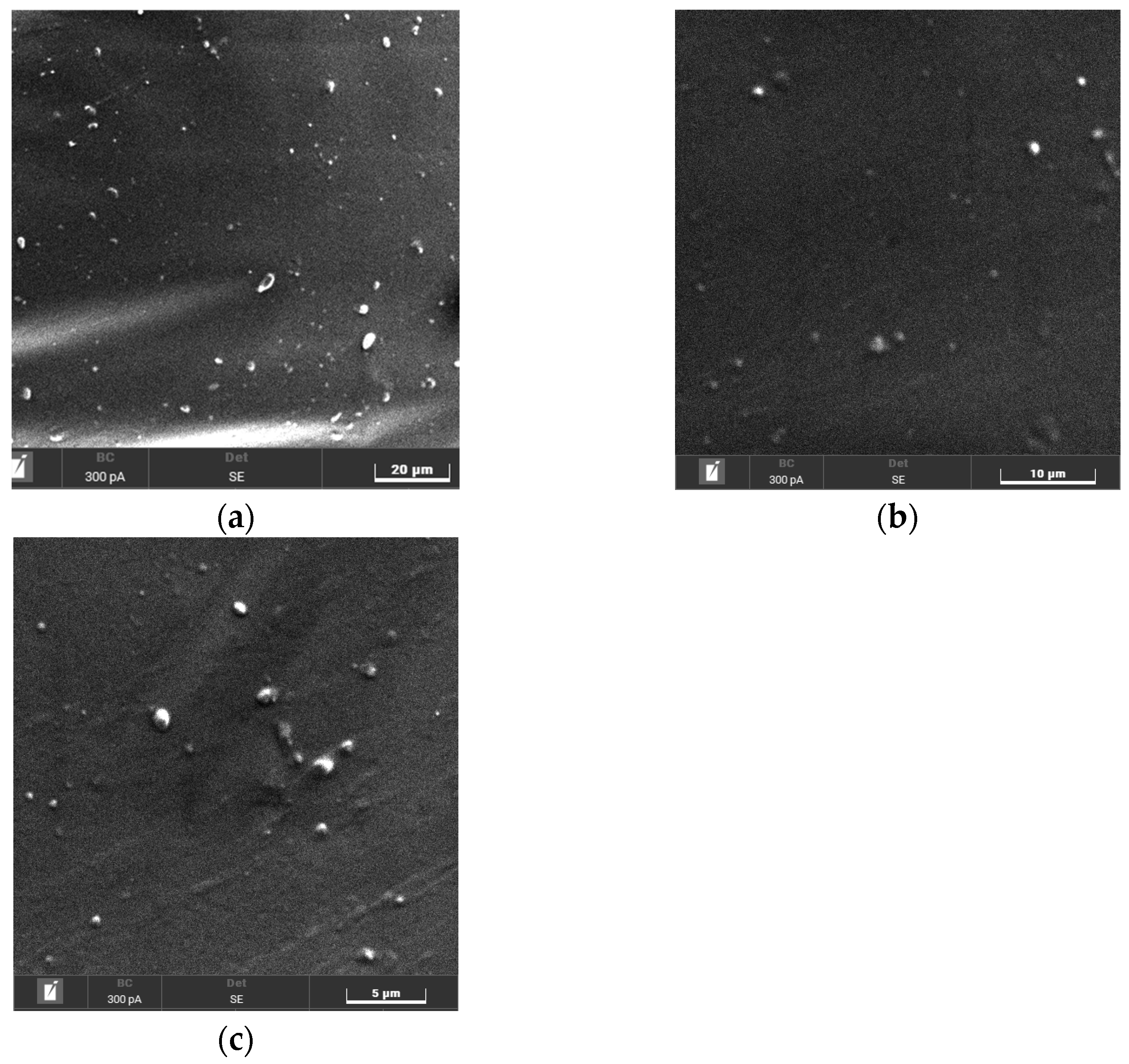 Polymers 17 00899 g005