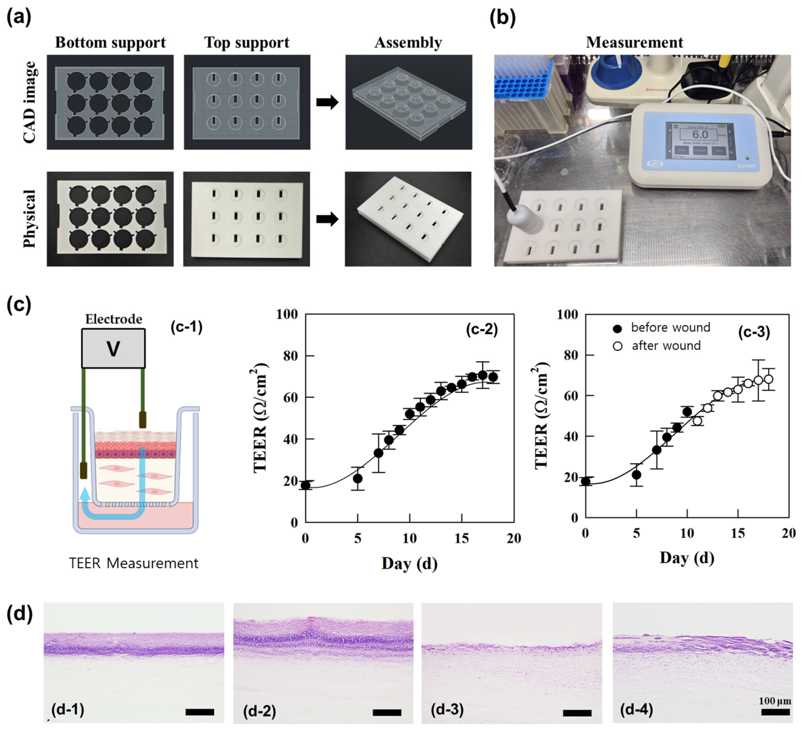 Polymers 17 00901 g002