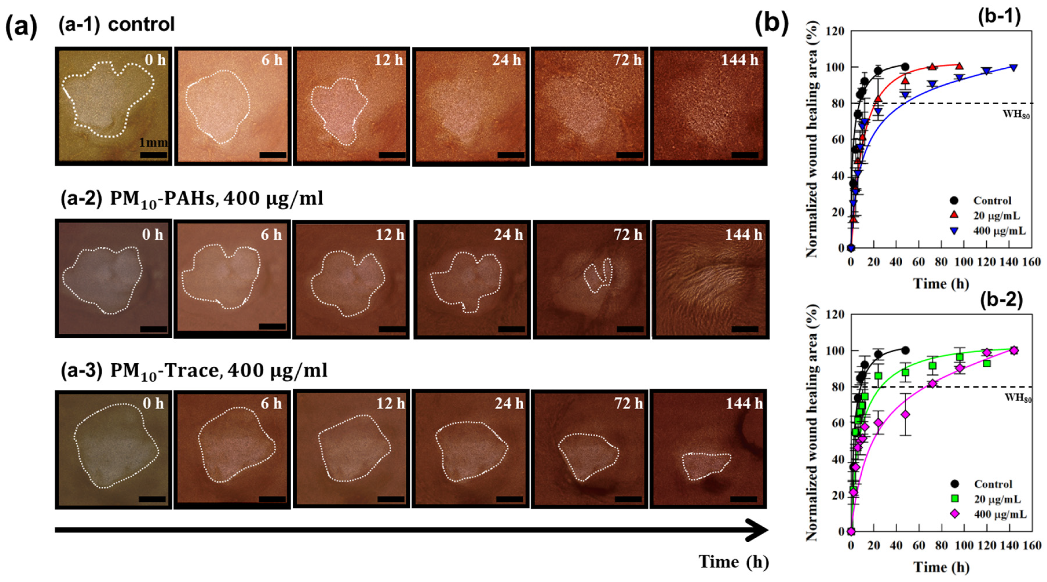 Polymers 17 00901 g003