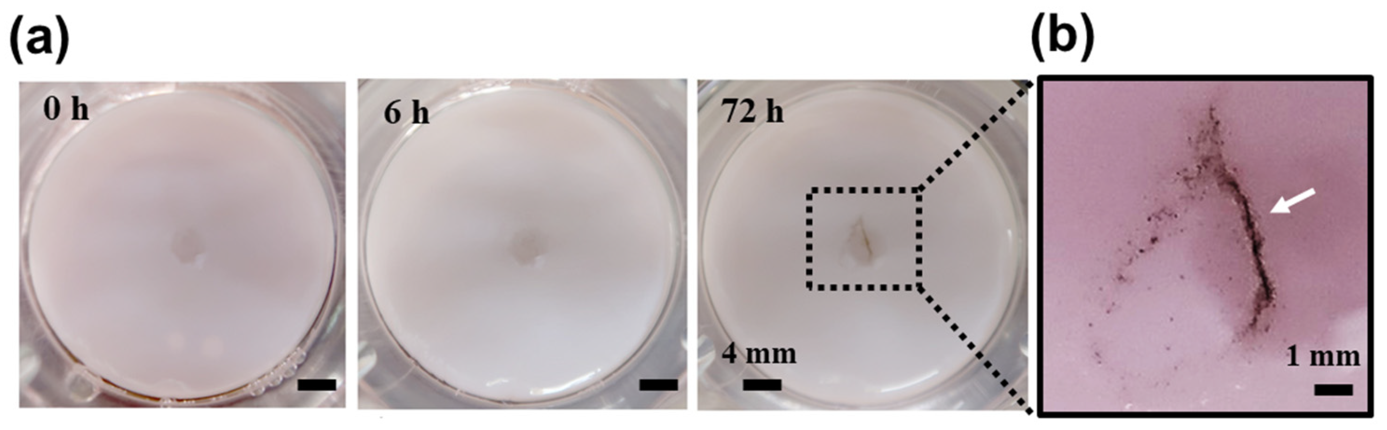 Polymers 17 00901 g004