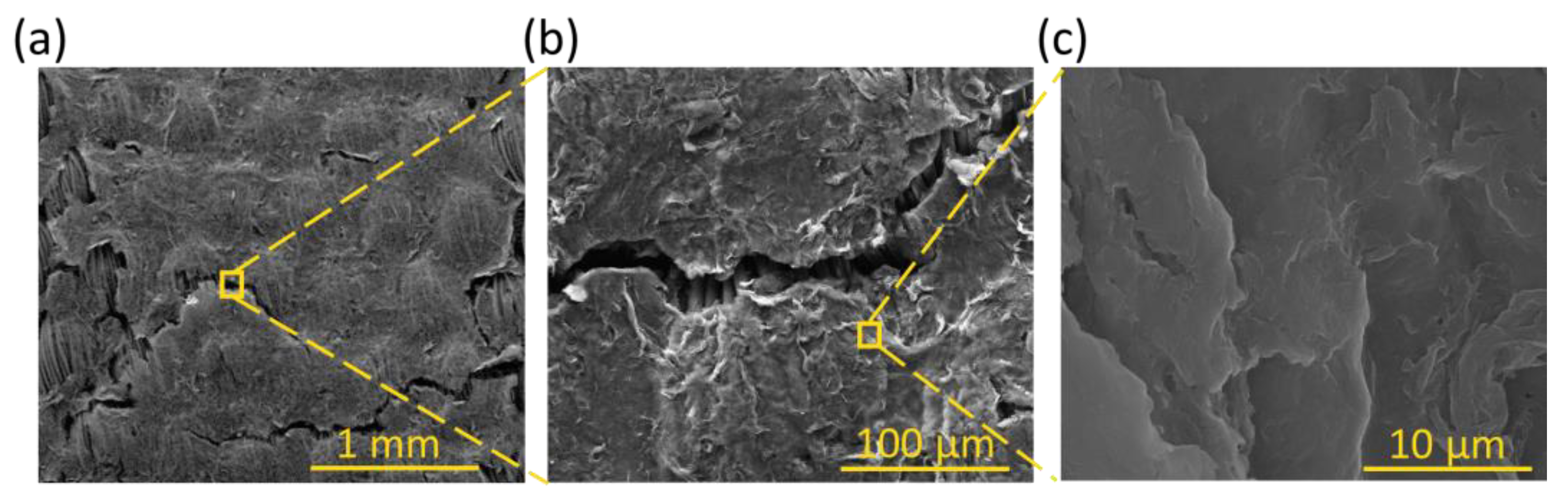 Polymers 17 00904 g004