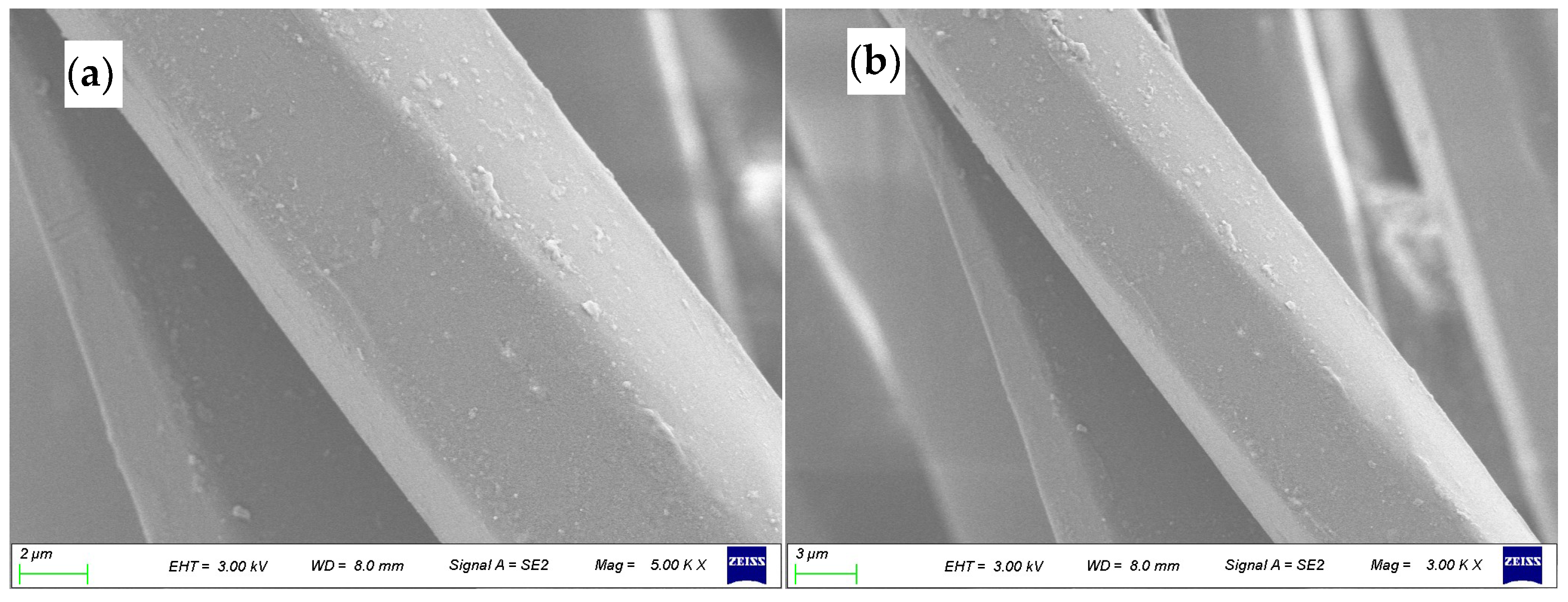Polymers 17 00905 g004