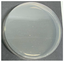 Polymers 17 00905 i002