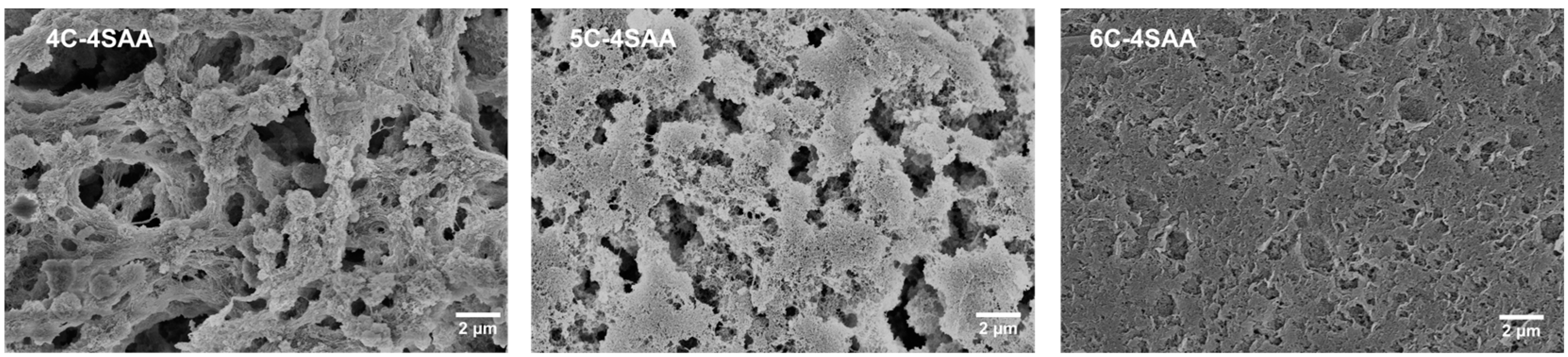Polymers 17 00908 g003