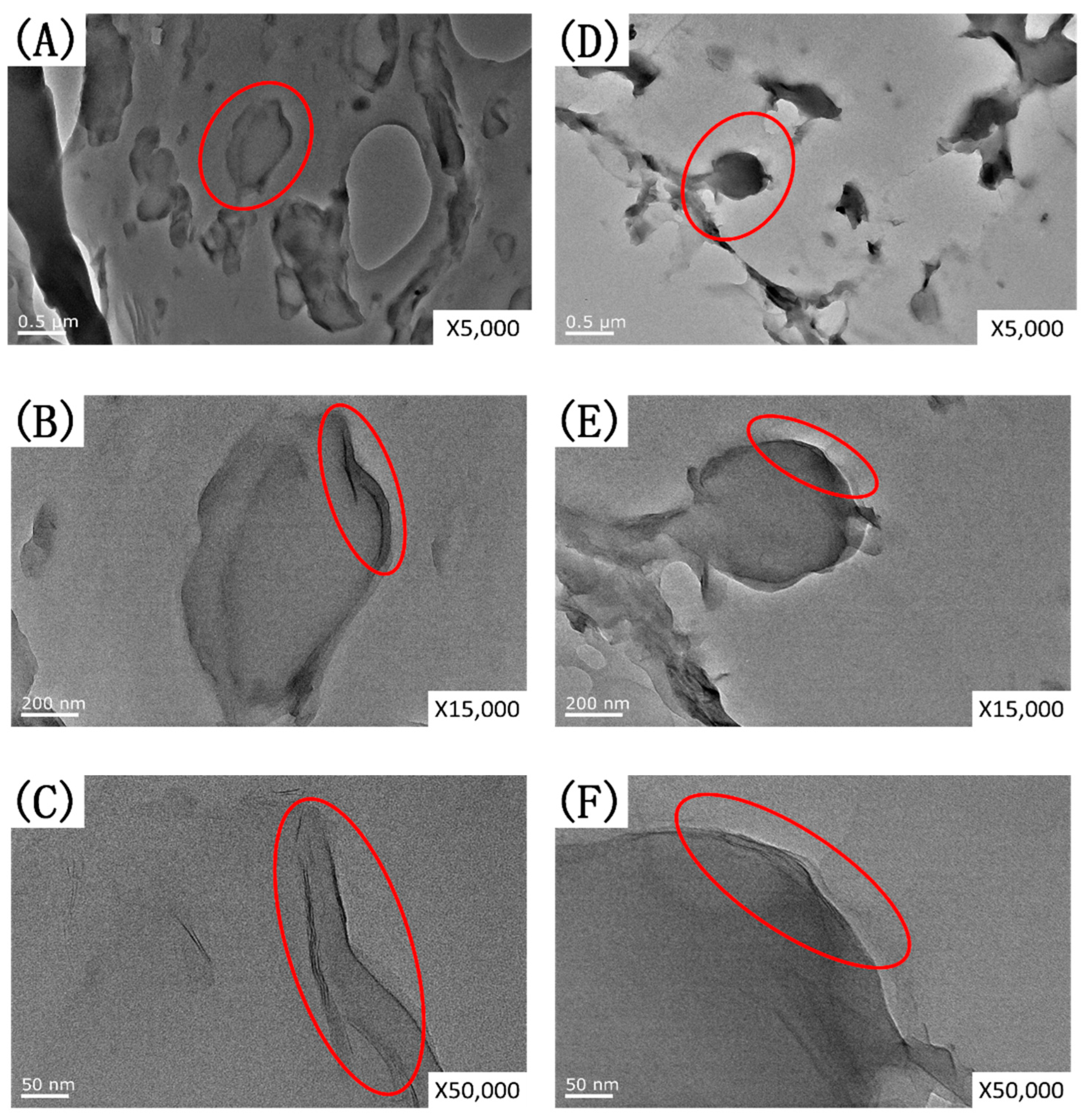 Polymers 17 00911 g003