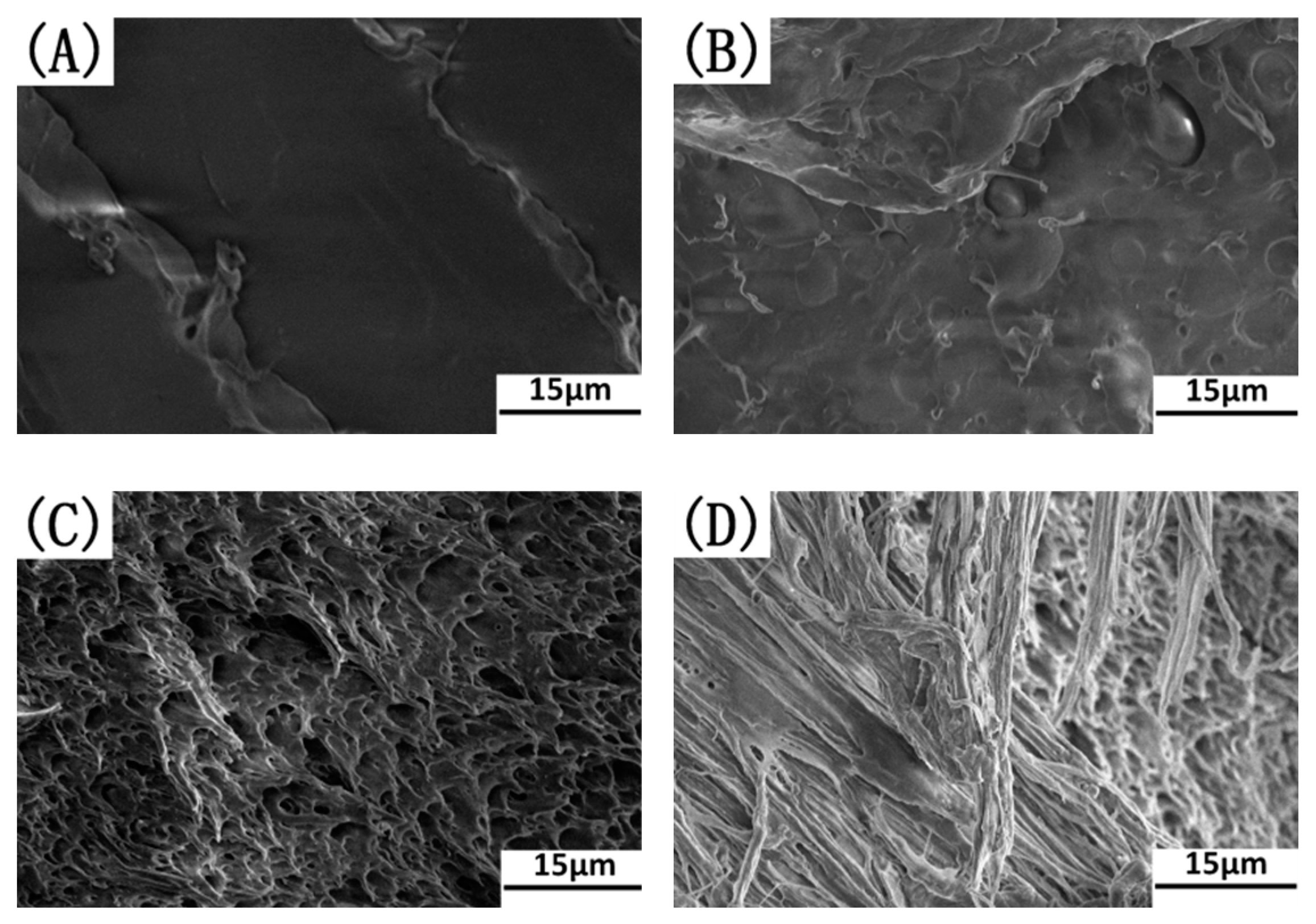 Polymers 17 00911 g010a