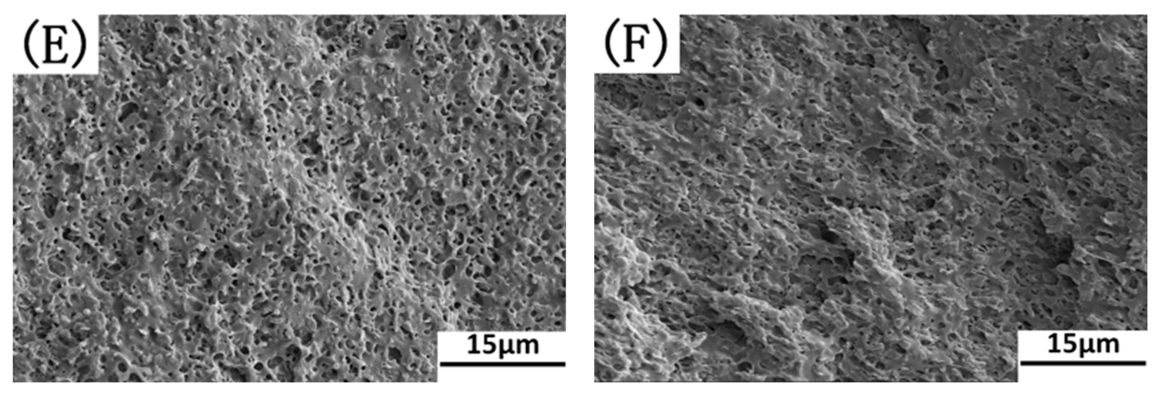 Polymers 17 00911 g010b