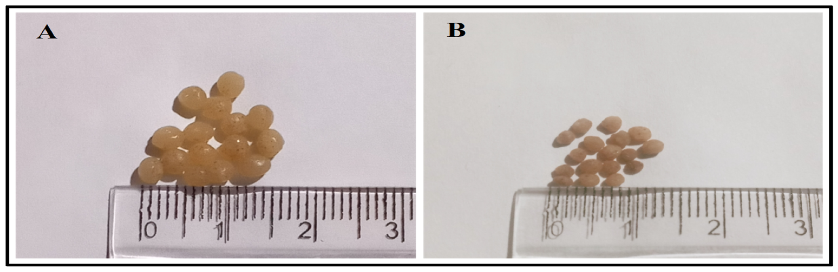 Polymers 17 00912 g001