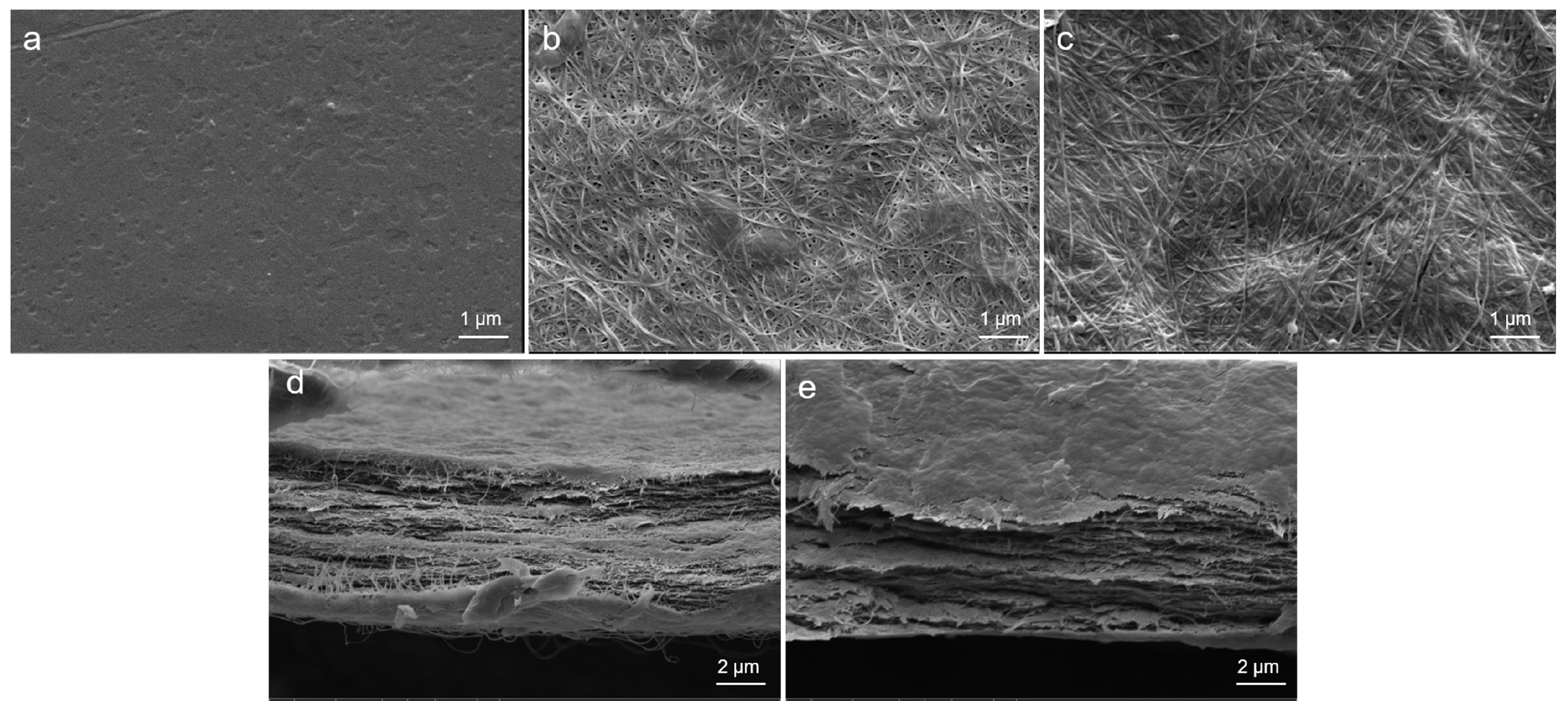 Polymers 17 00914 g003
