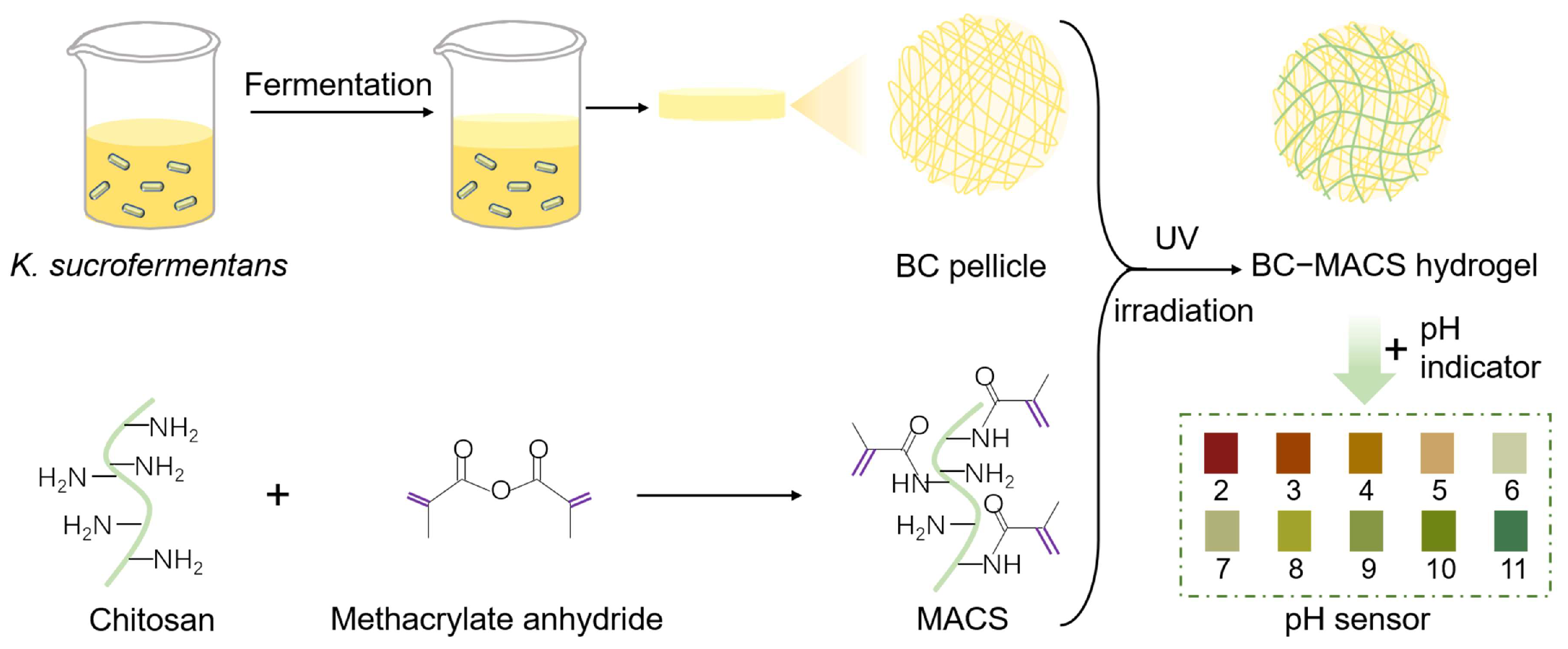 Polymers 17 00914 sch001