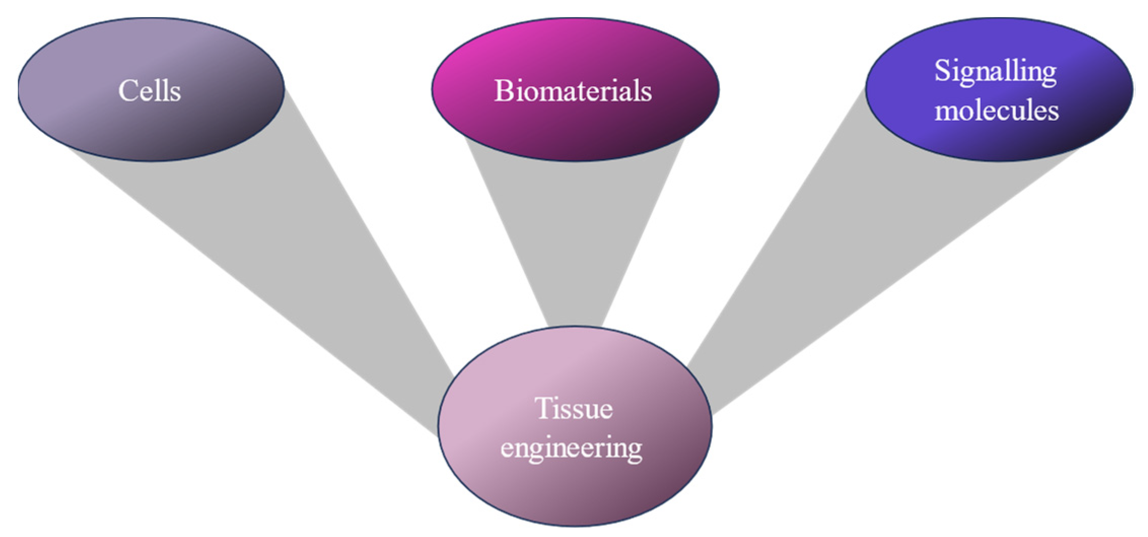 Polymers 17 00917 g001
