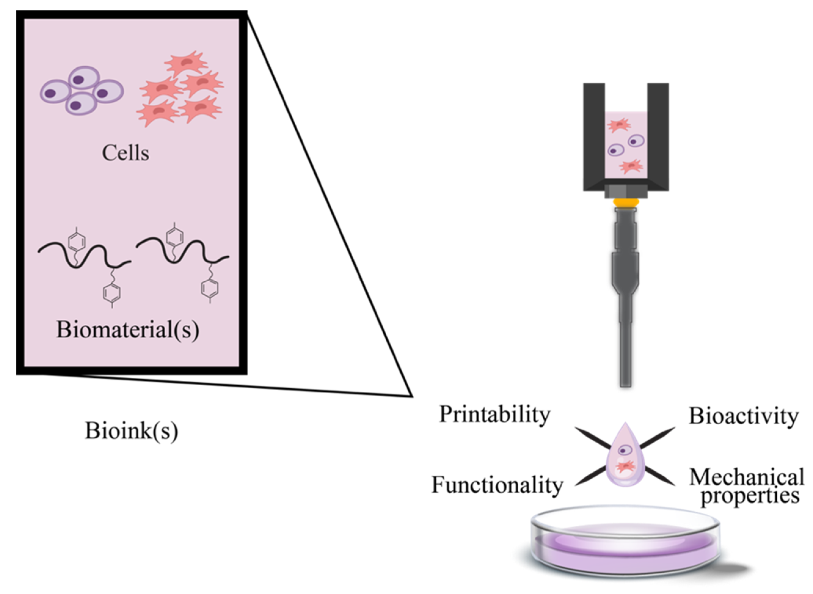 Polymers 17 00917 g005
