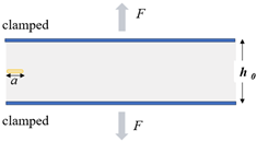 Polymers 17 00918 i002