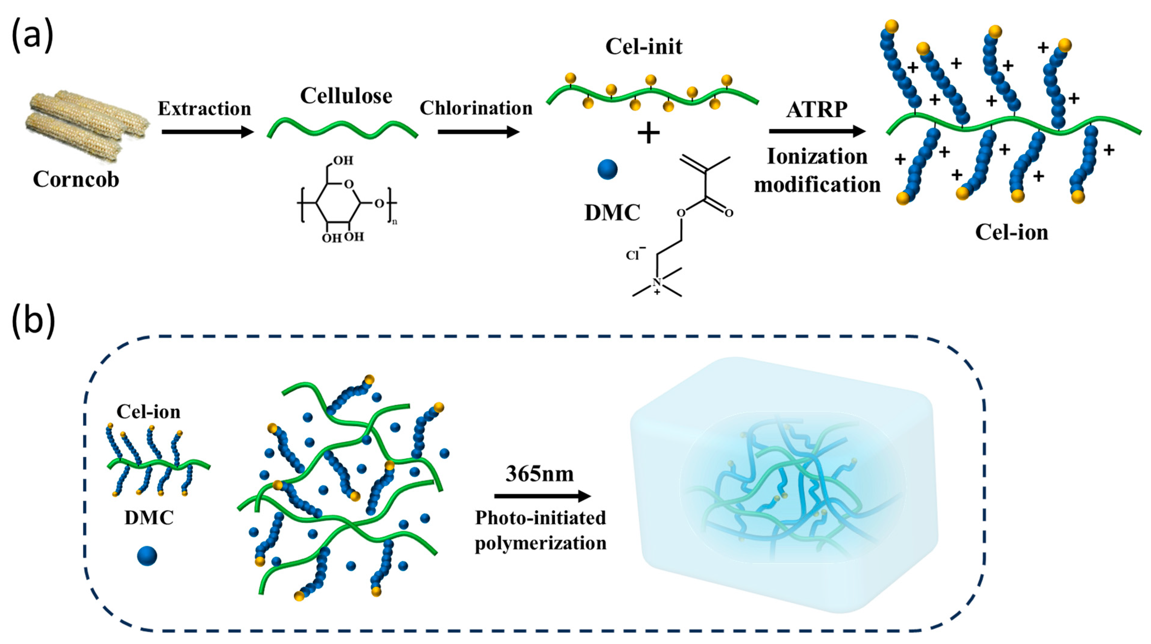 Polymers 17 00921 g001