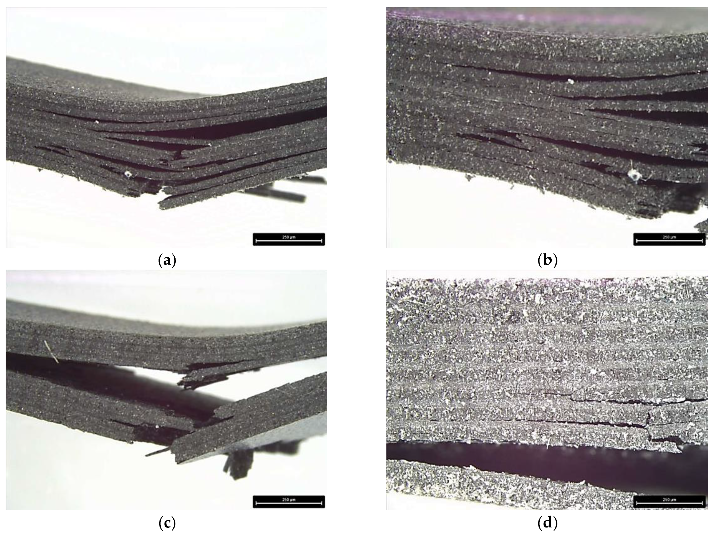 Polymers 17 00922 g012