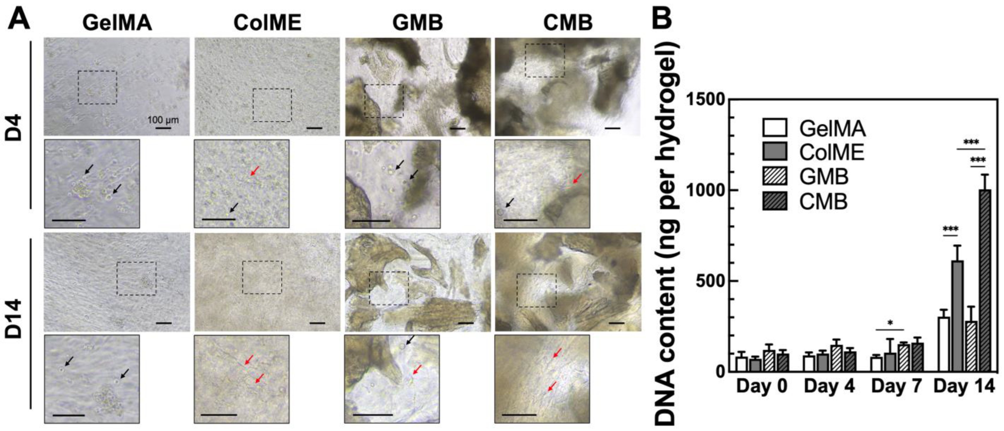 Polymers 17 00935 g004