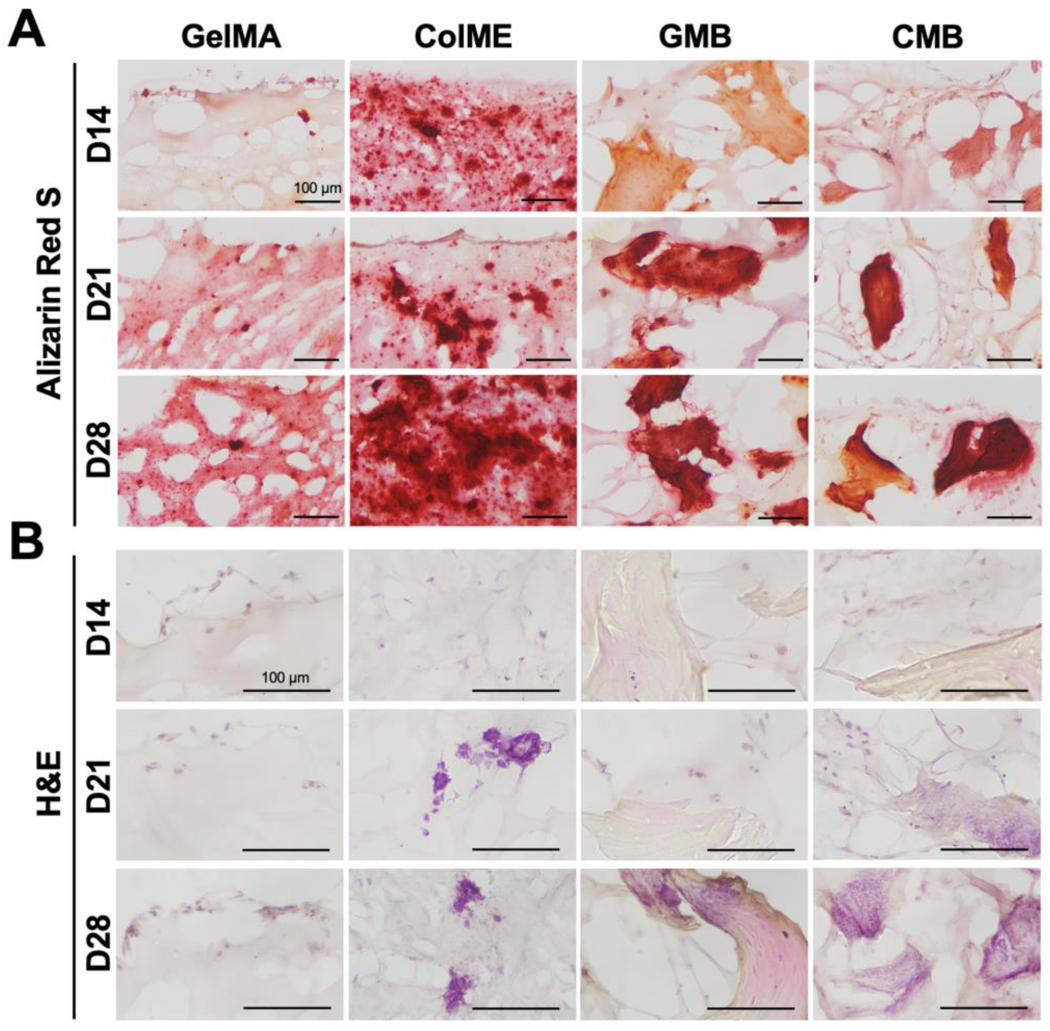 Polymers 17 00935 g006