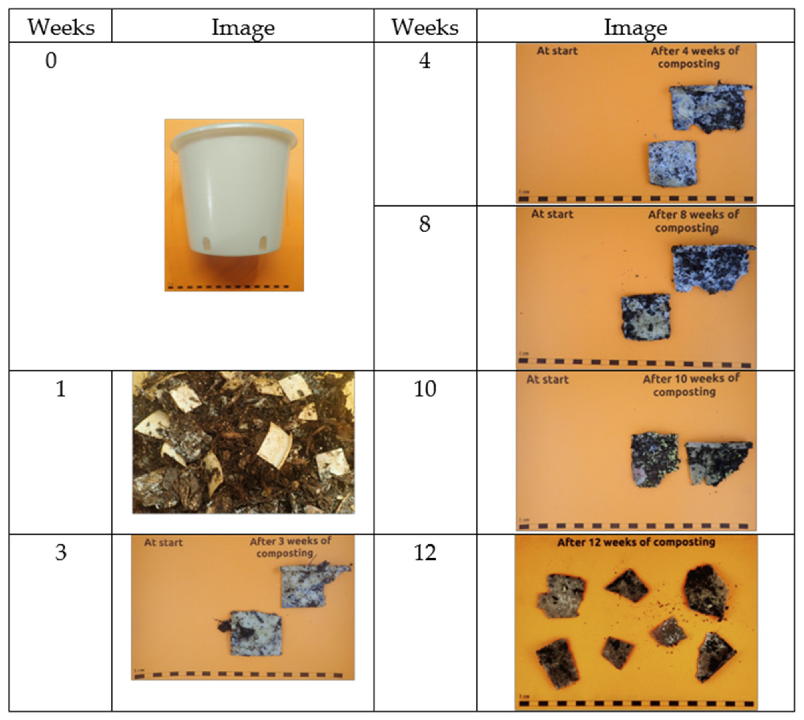 Polymers 17 00943 g009