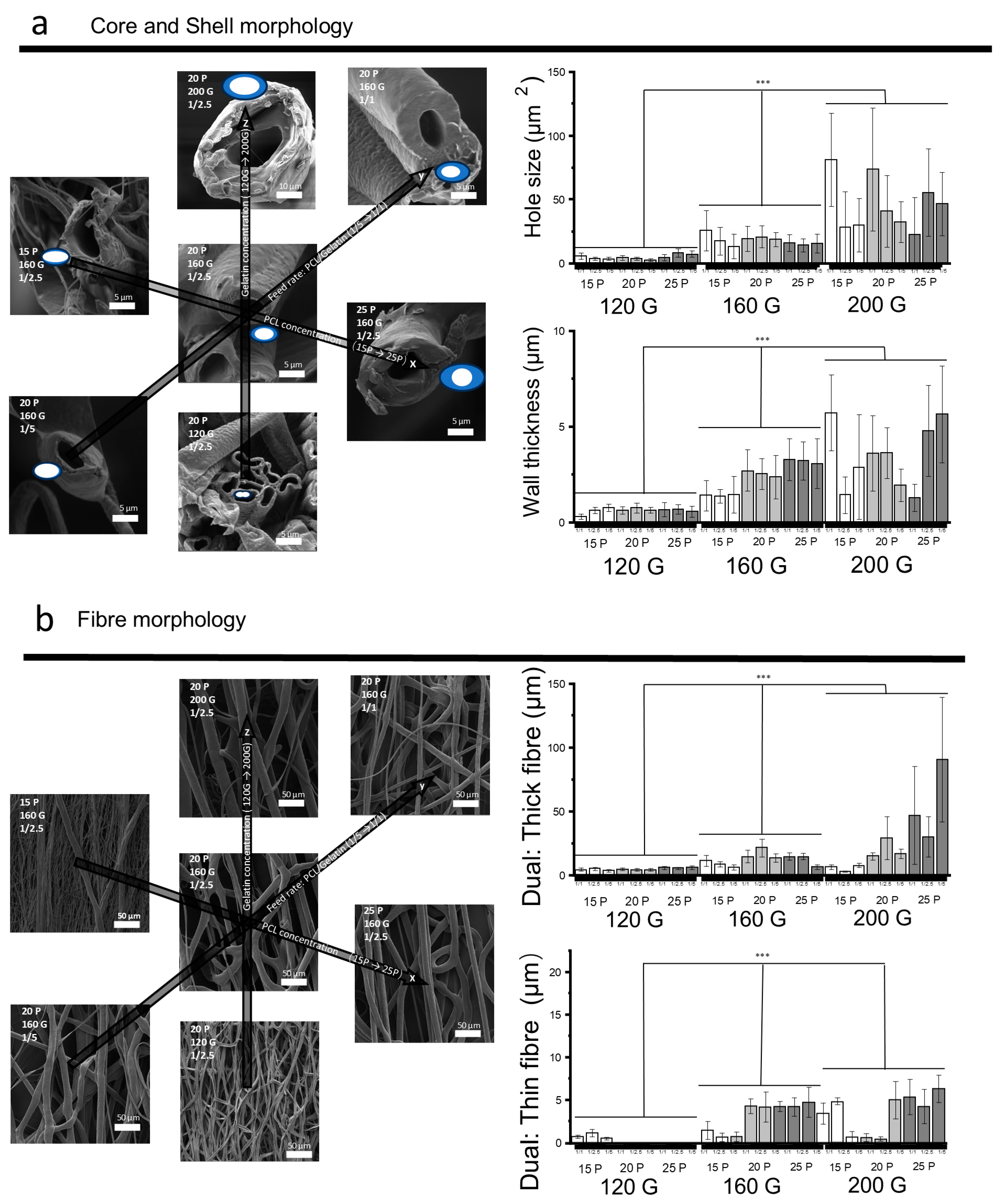 Polymers 17 00944 g003