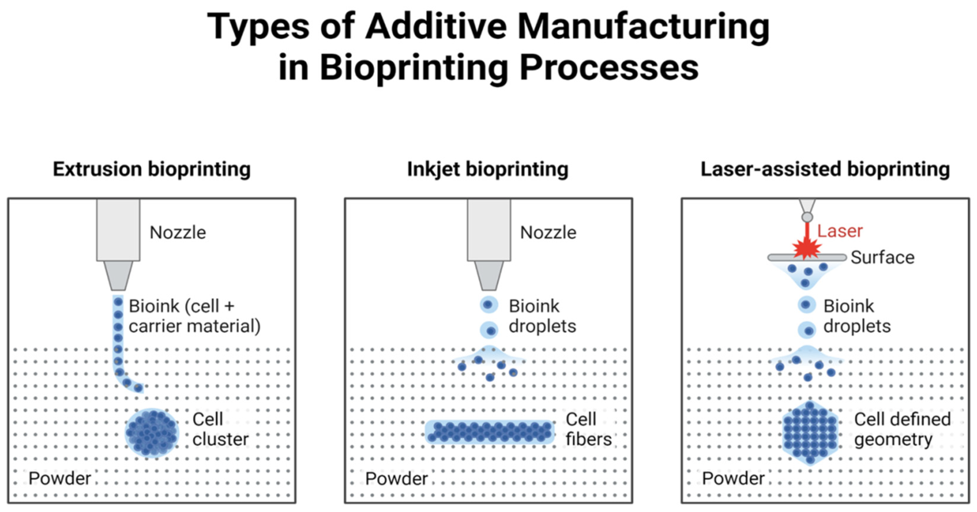 Polymers 17 00948 g002