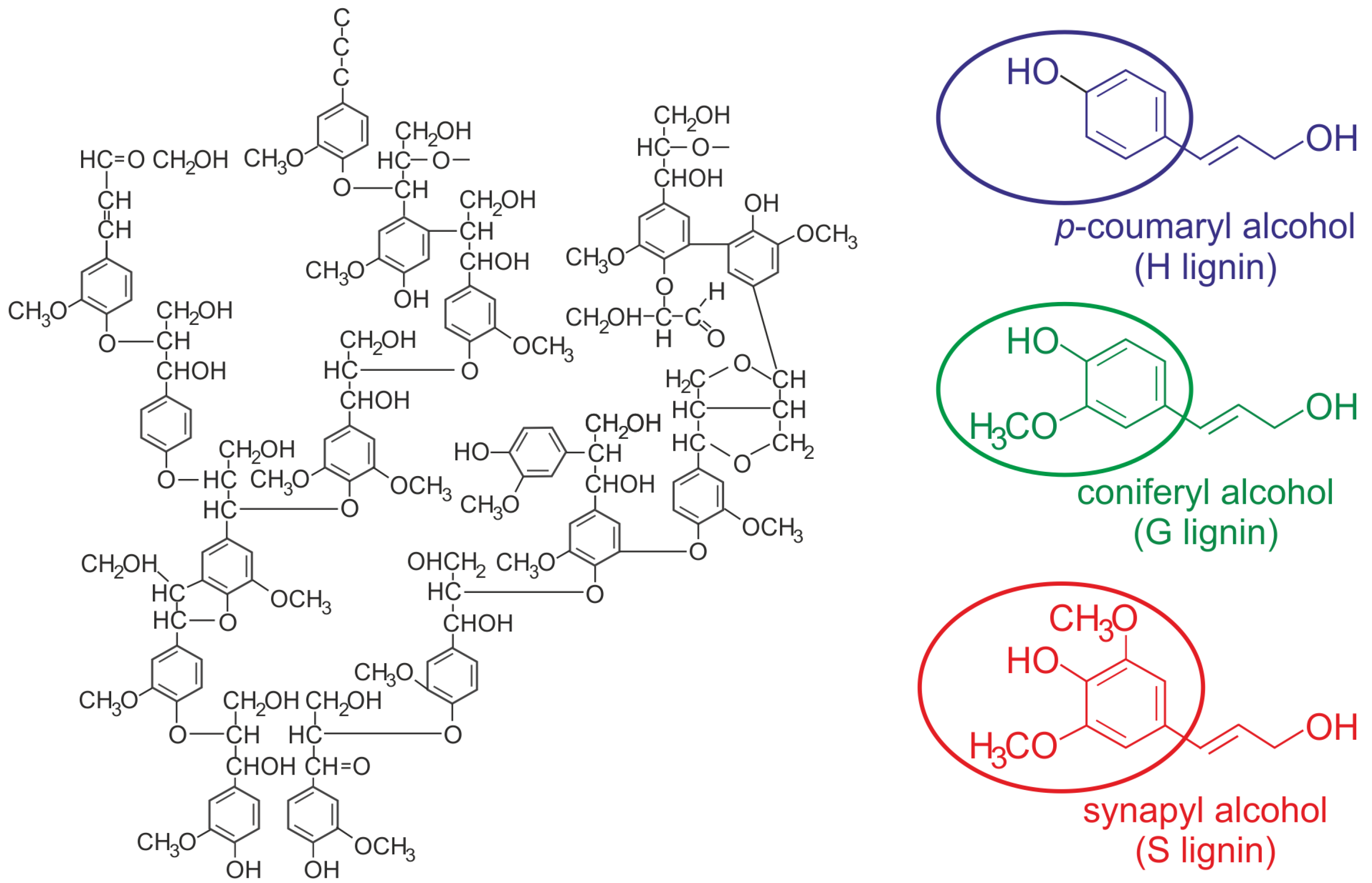 Lignin from Plant-Based Agro-Industrial Biowastes: From
