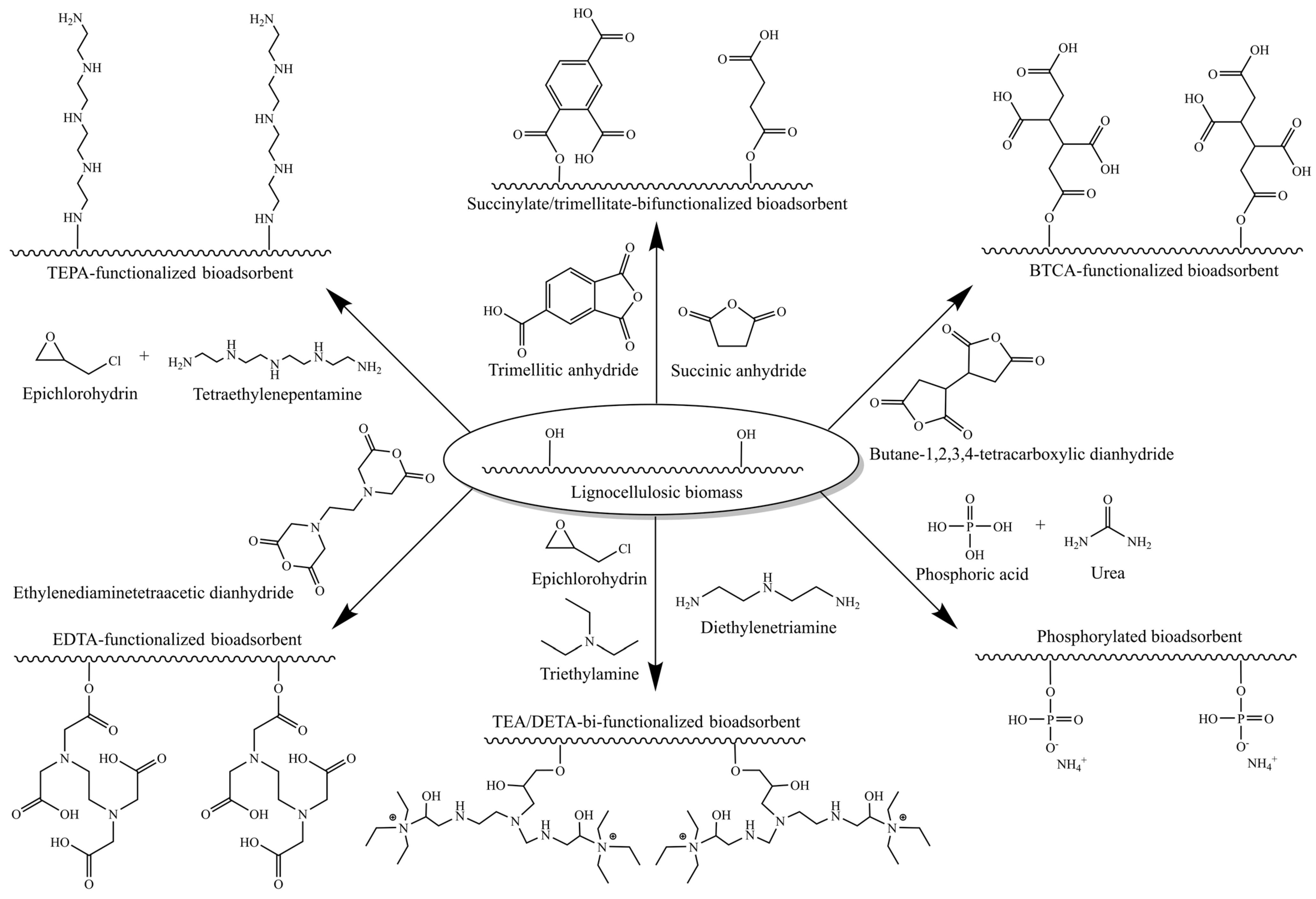 Polymers 17 00953 g005 Polymers 17 00953 g005