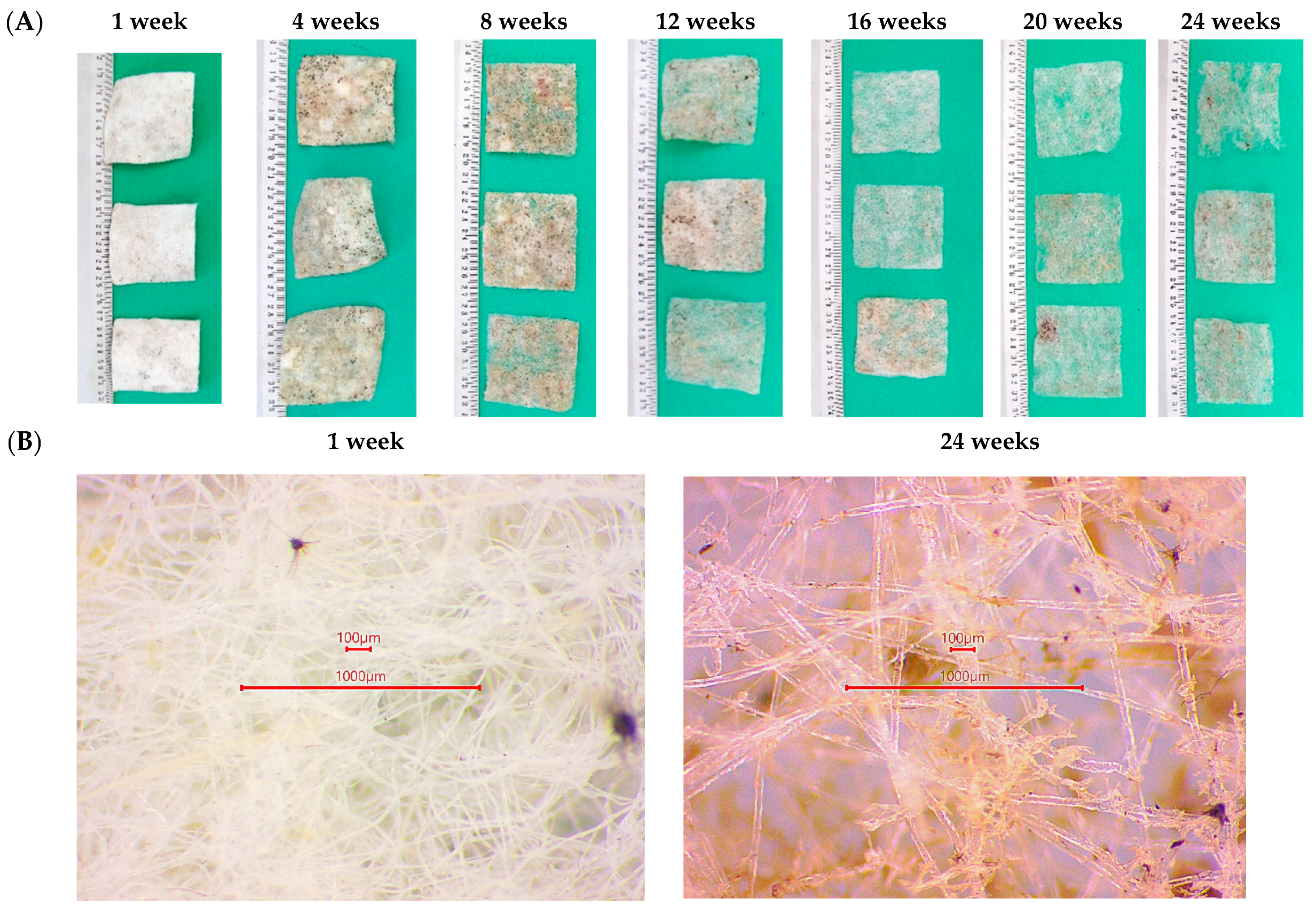 Polymers 17 00957 g003
