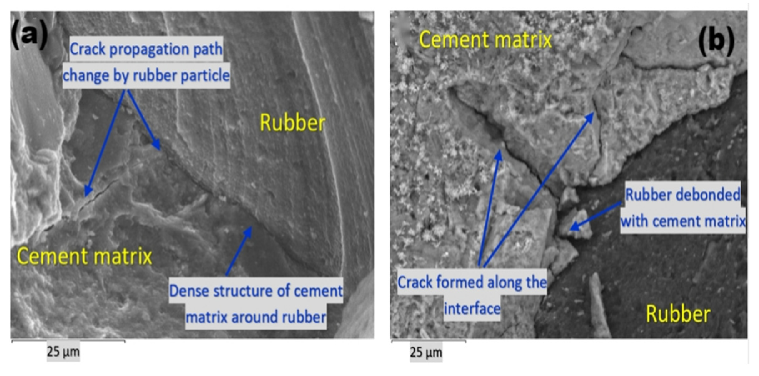 Polymers 17 00970 g001