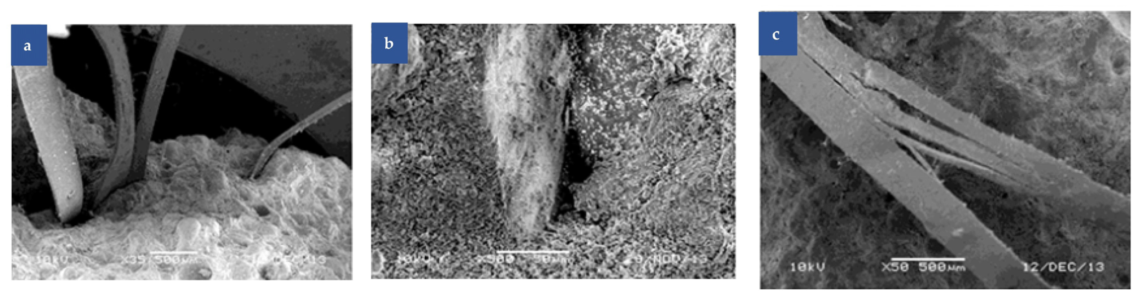 Polymers 17 00970 g009