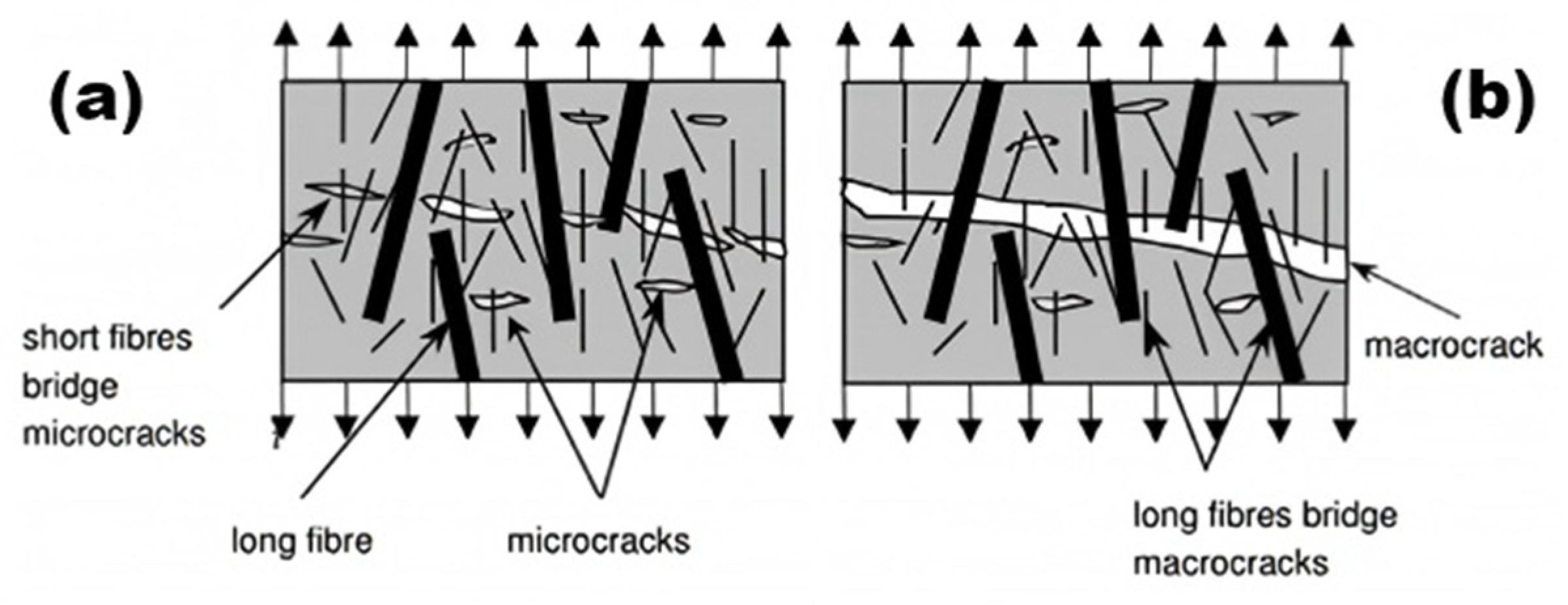 Polymers 17 00970 g012