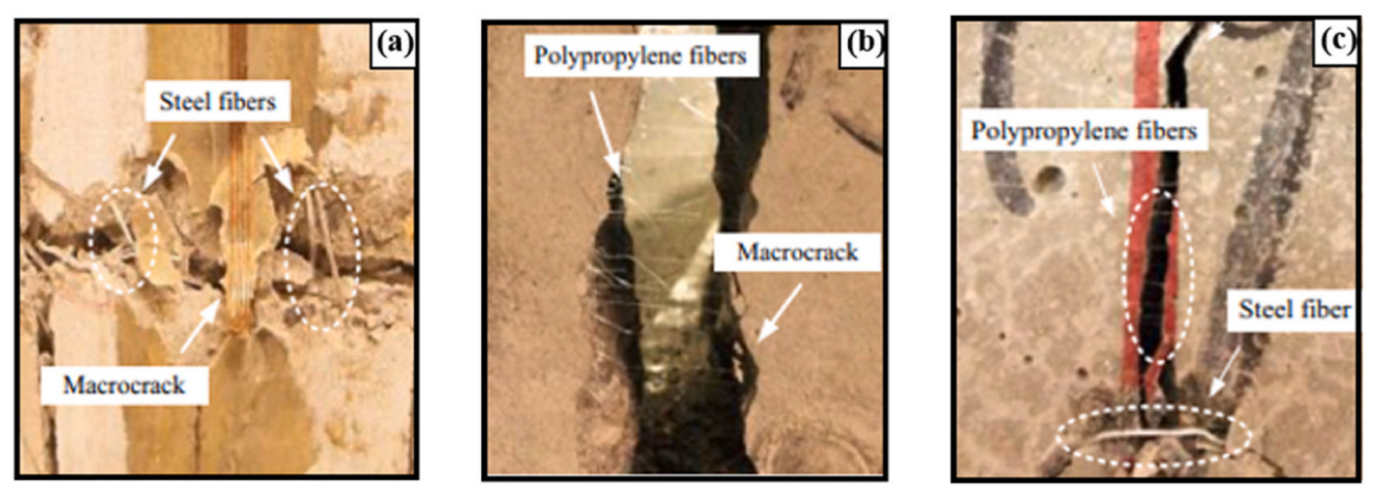 Polymers 17 00970 g019