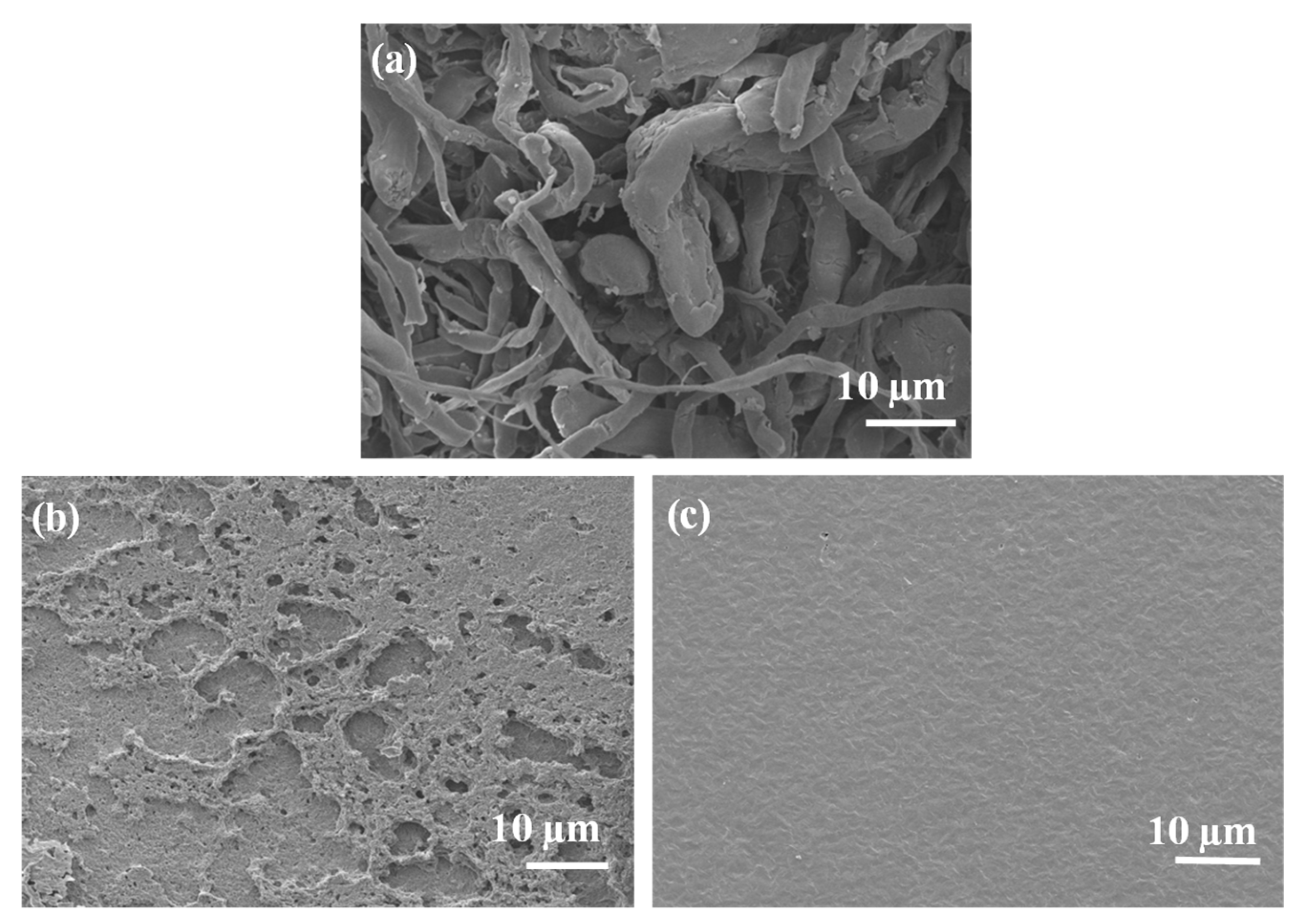 Polymers 17 00971 g006