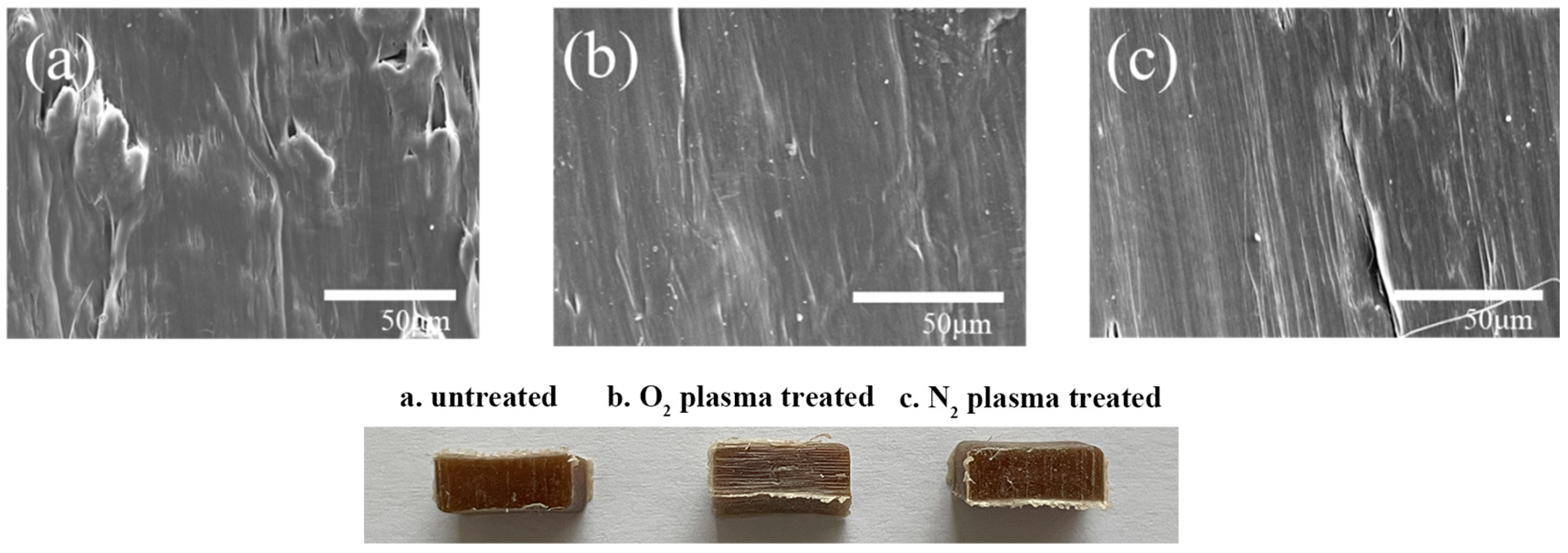 Polymers 17 00983 g009
