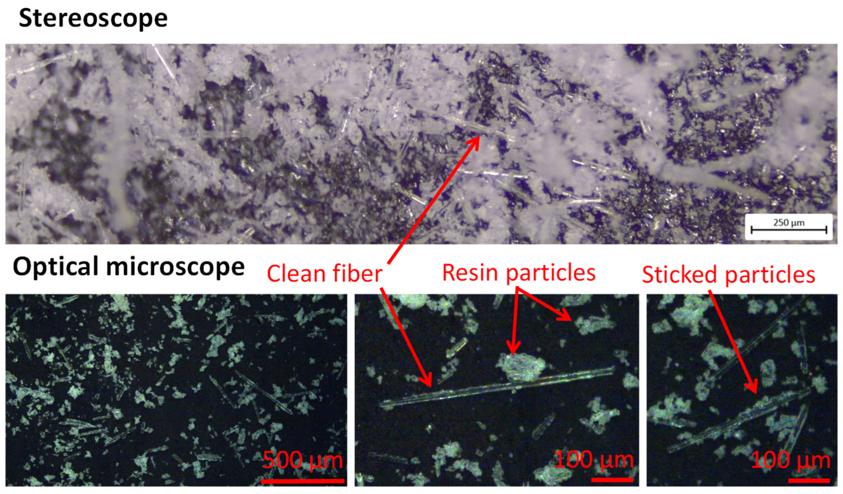 Polymers 17 00987 g006