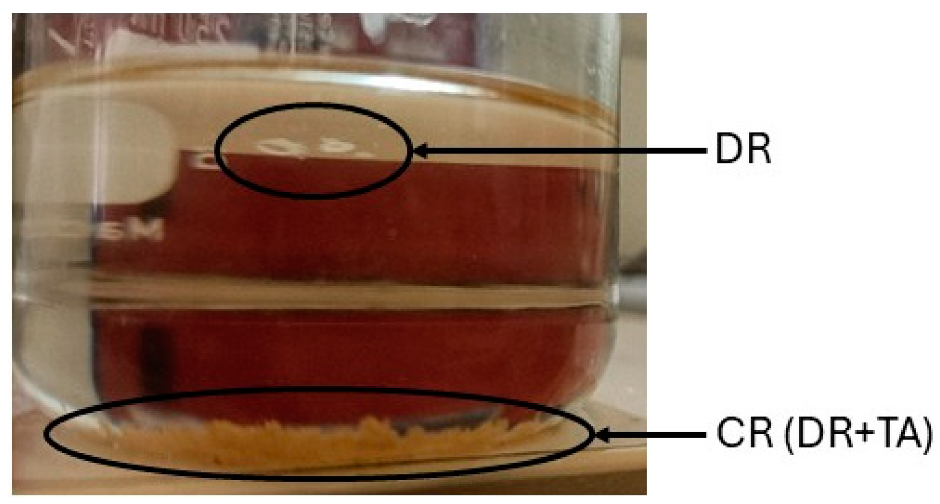 Polymers 17 00989 g001