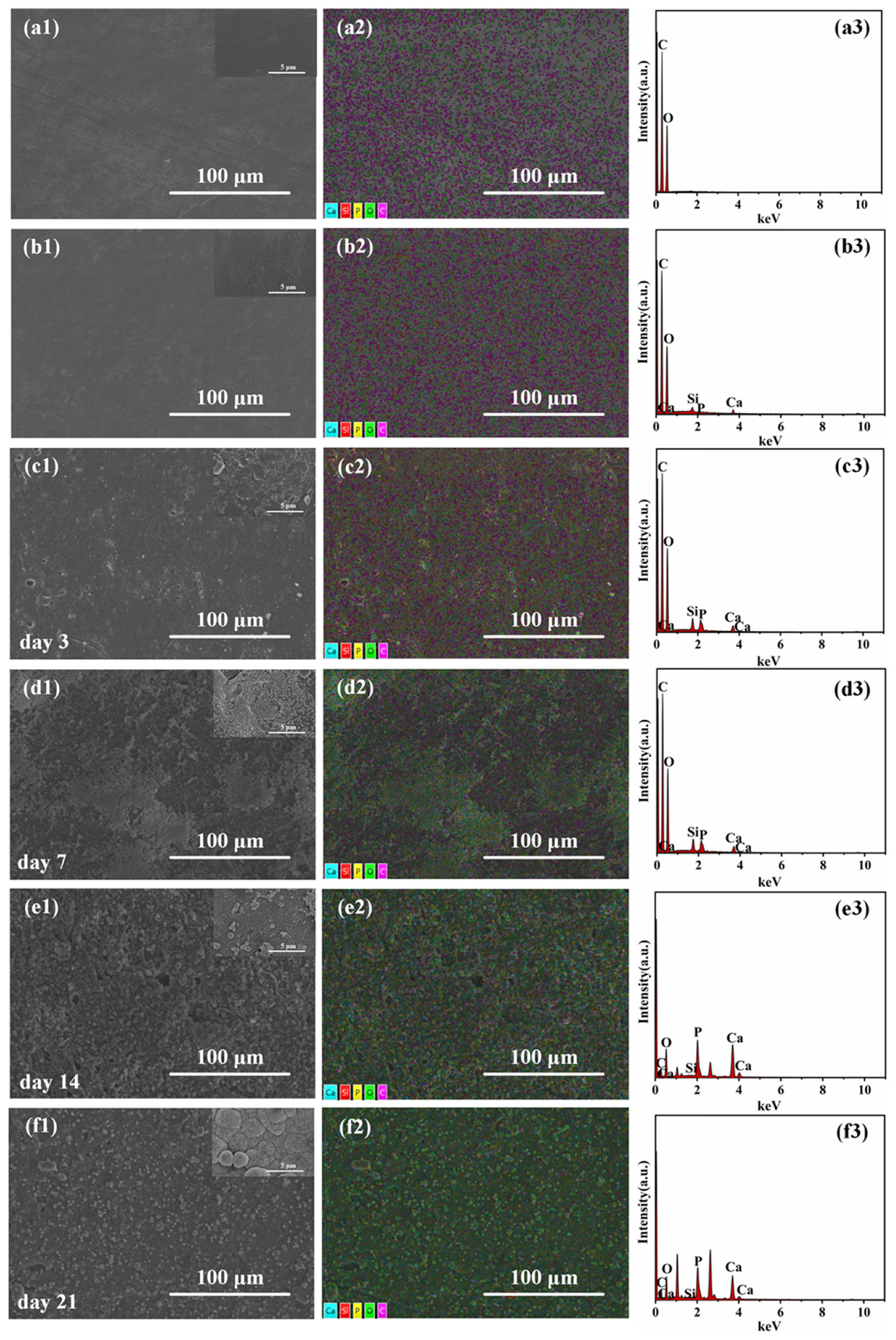 Polymers 17 00991 g009