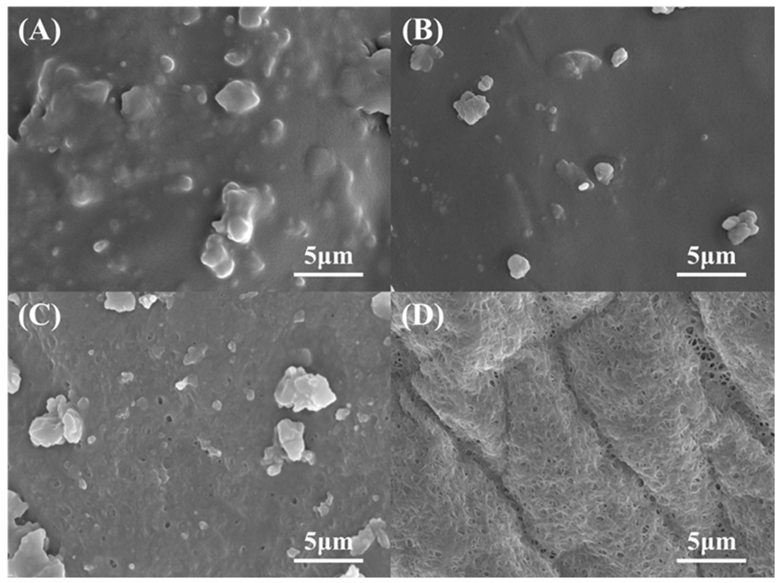 Polymers 17 00994 g006