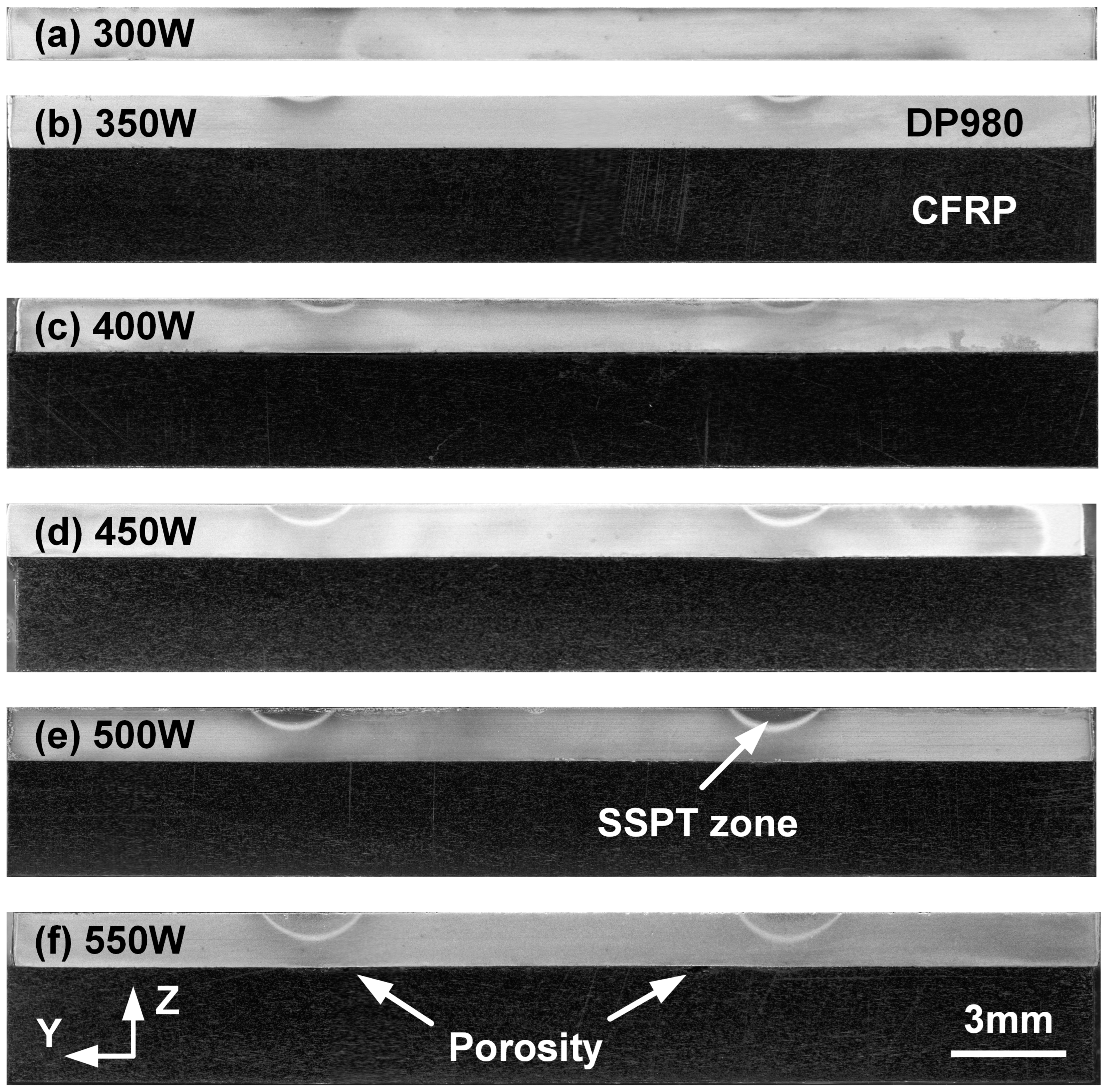 Polymers 17 00997 g005