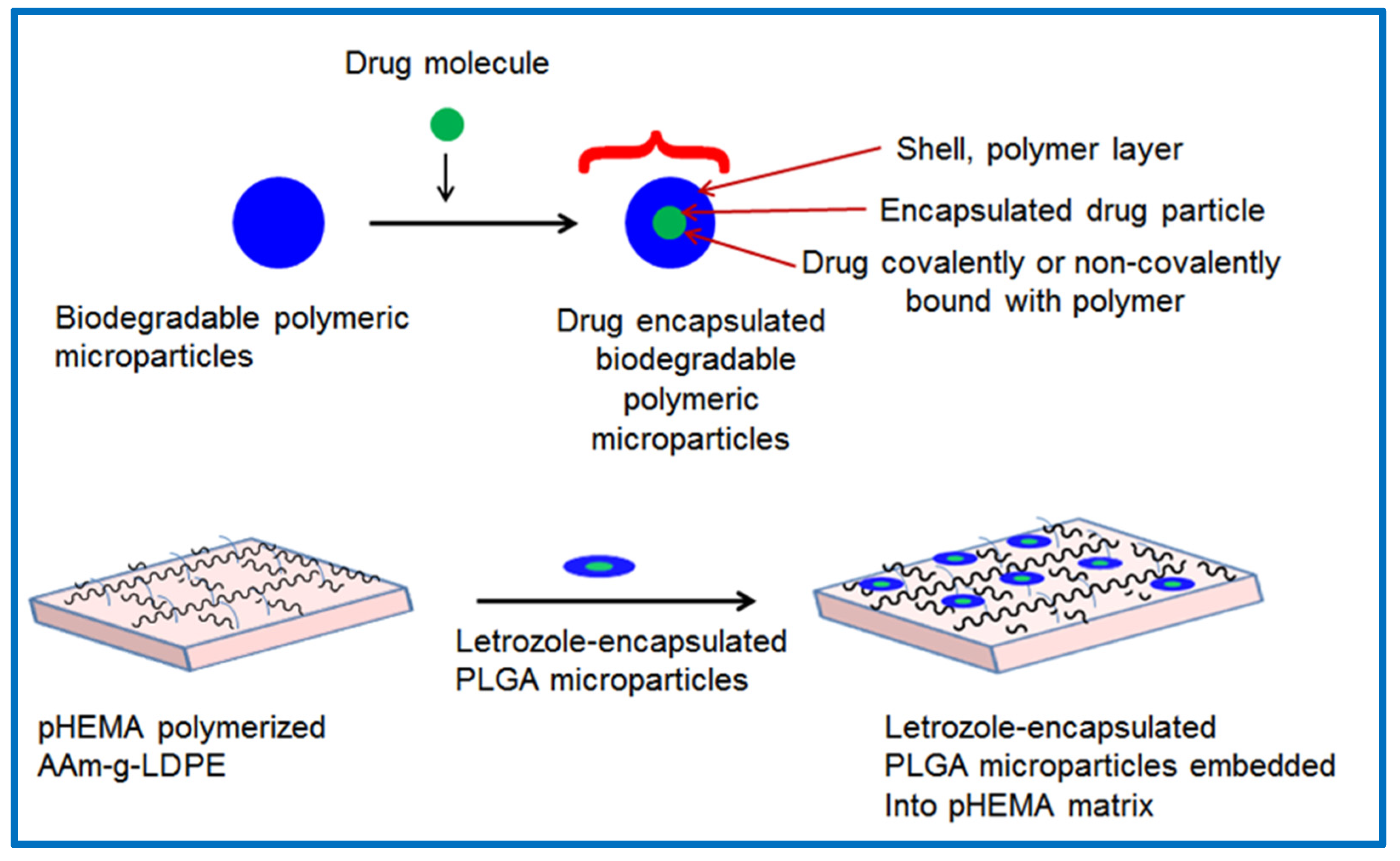 Polymers 17 00999 g001
