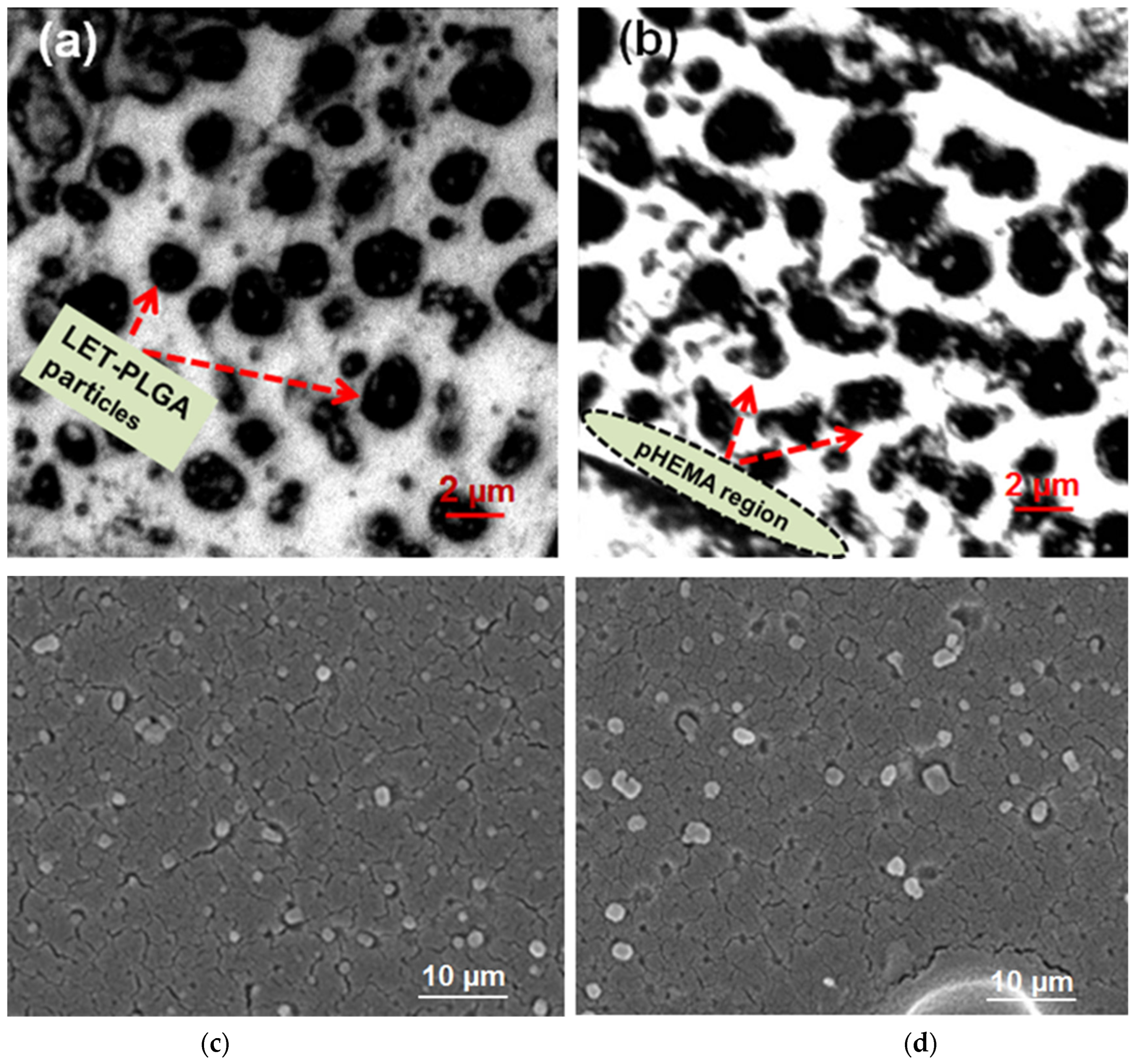 Polymers 17 00999 g002