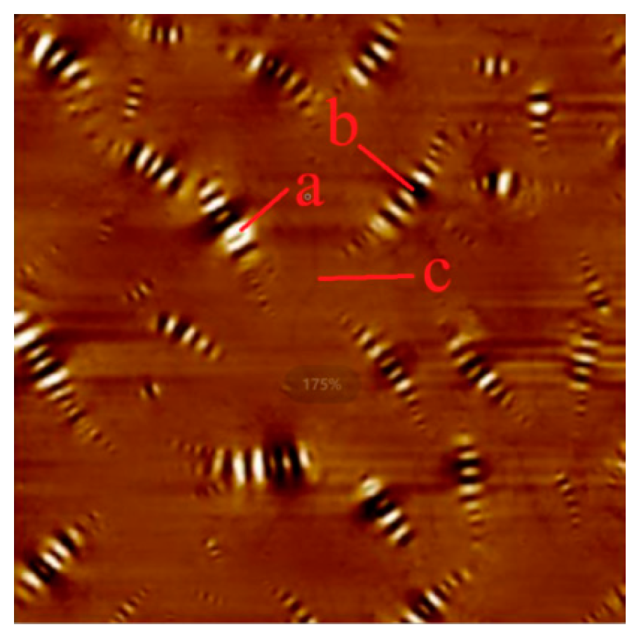 Polymers 17 01000 g010