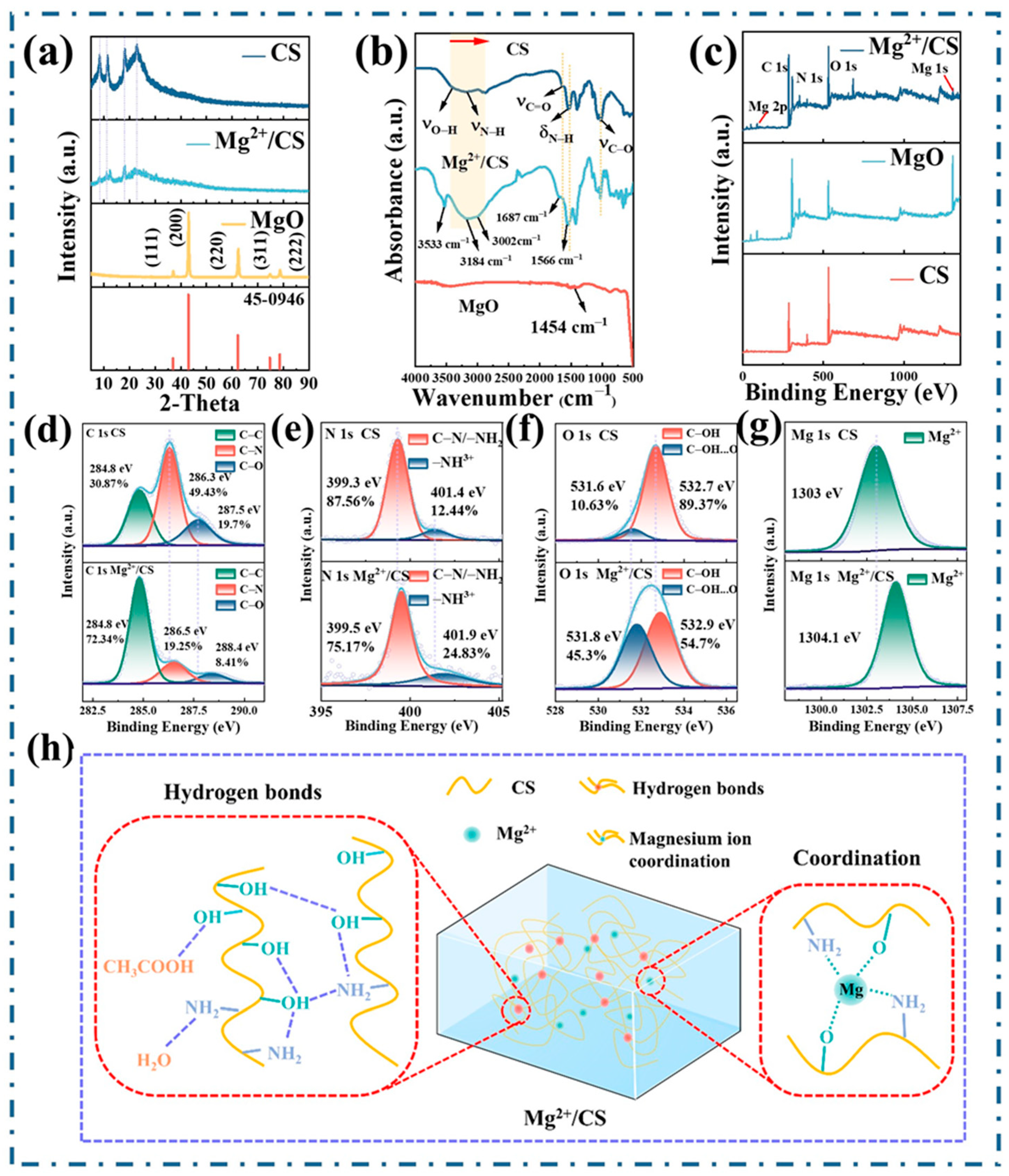Polymers 17 01001 g002